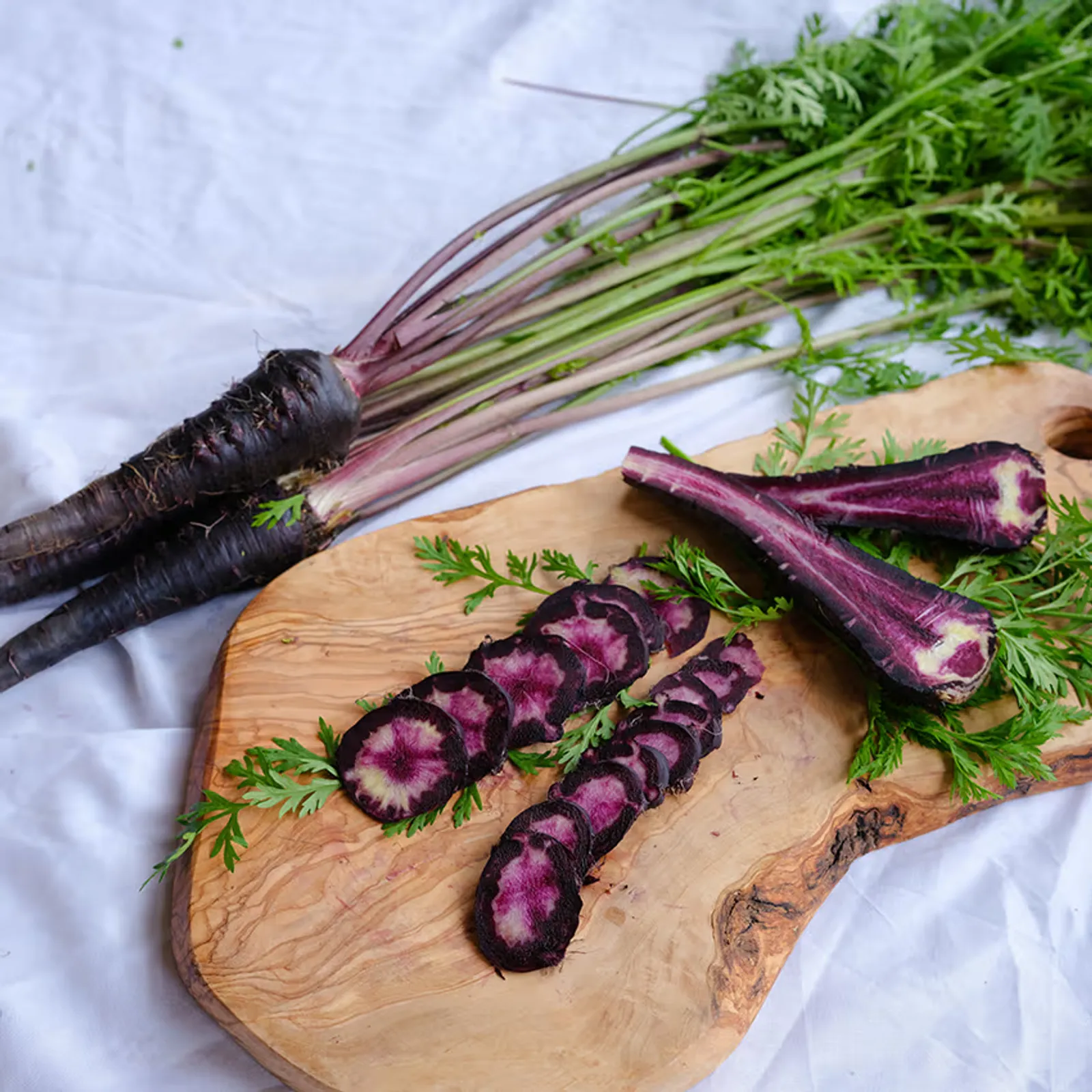 Pusa Asita Black Carrots