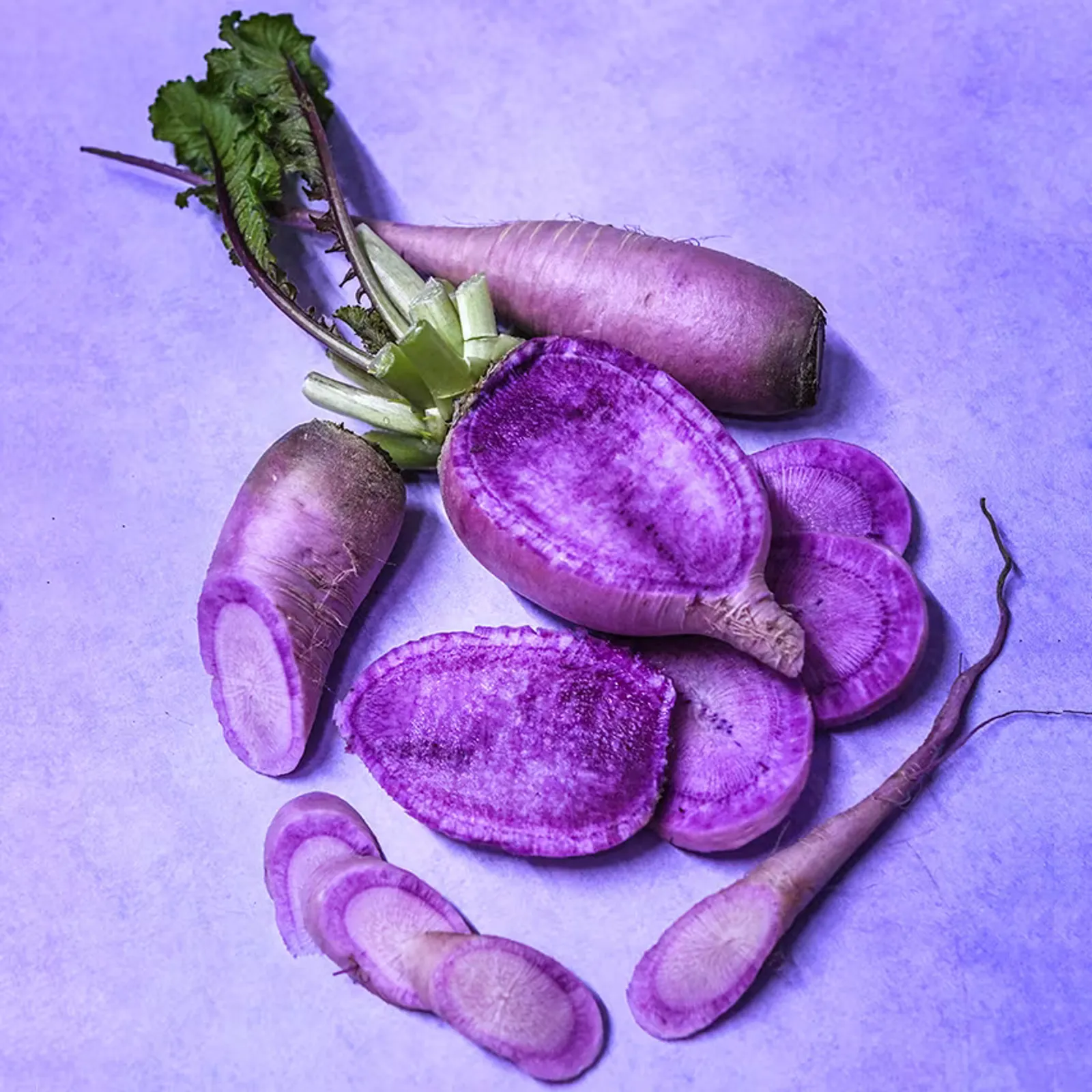 Pusa Jamuni Radishes