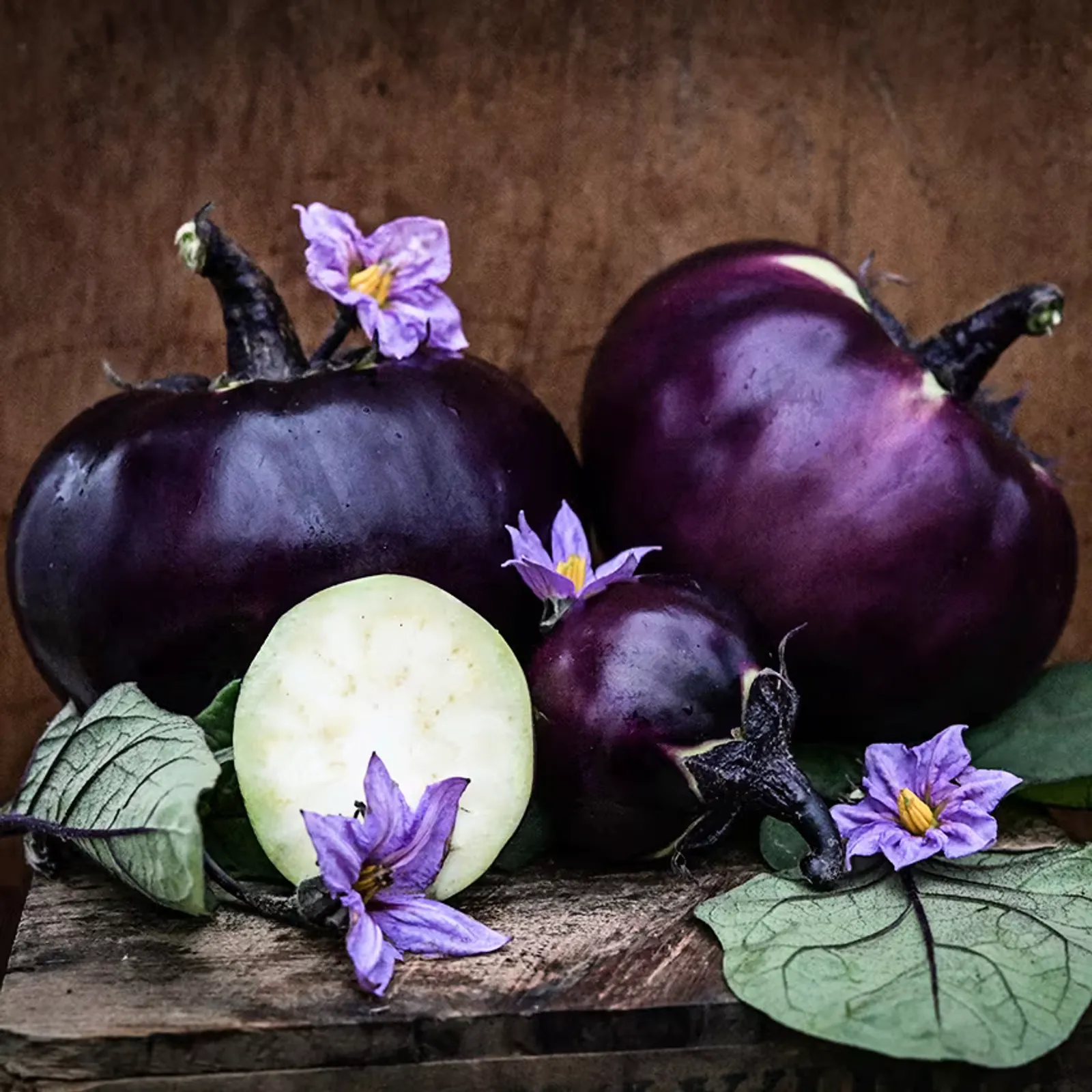 Qi Ye Round Eggplant