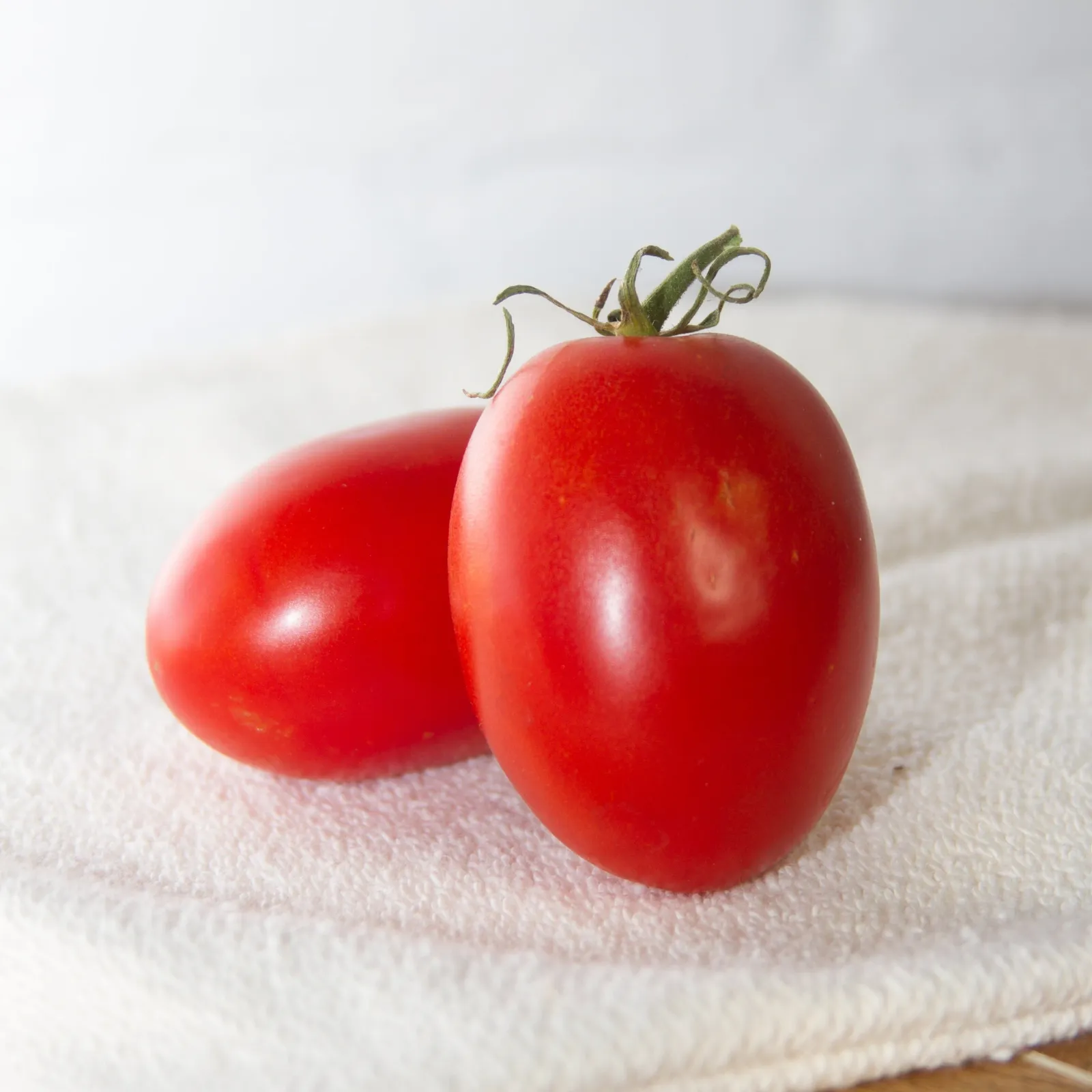 Quadro Tomatoes
