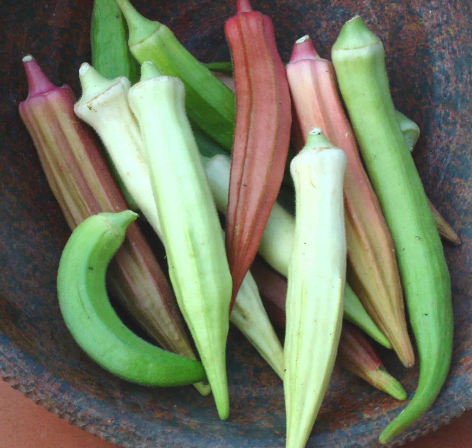 Rainbow Fiesta Blend Okra
