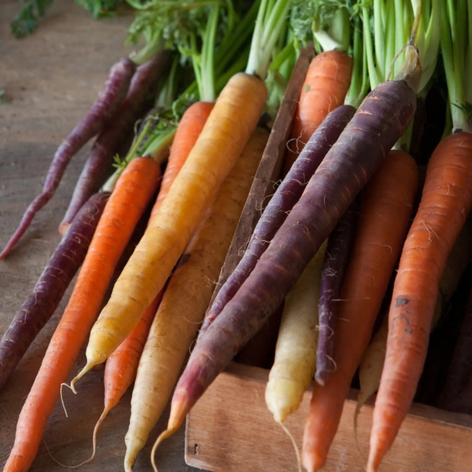 Rainbow Gourmet Mix Carrots
