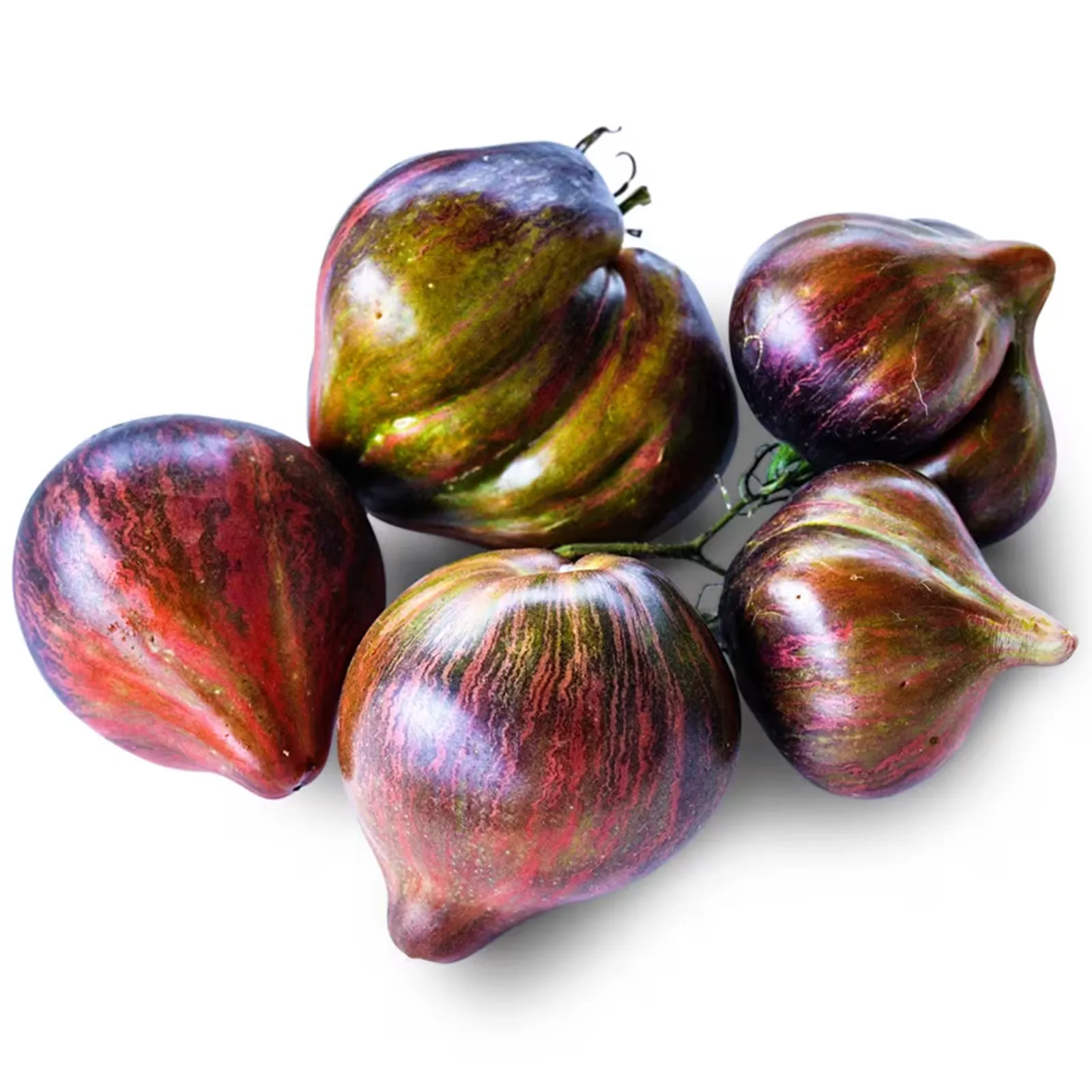 Rebel Starfighter Prime Tomatoes