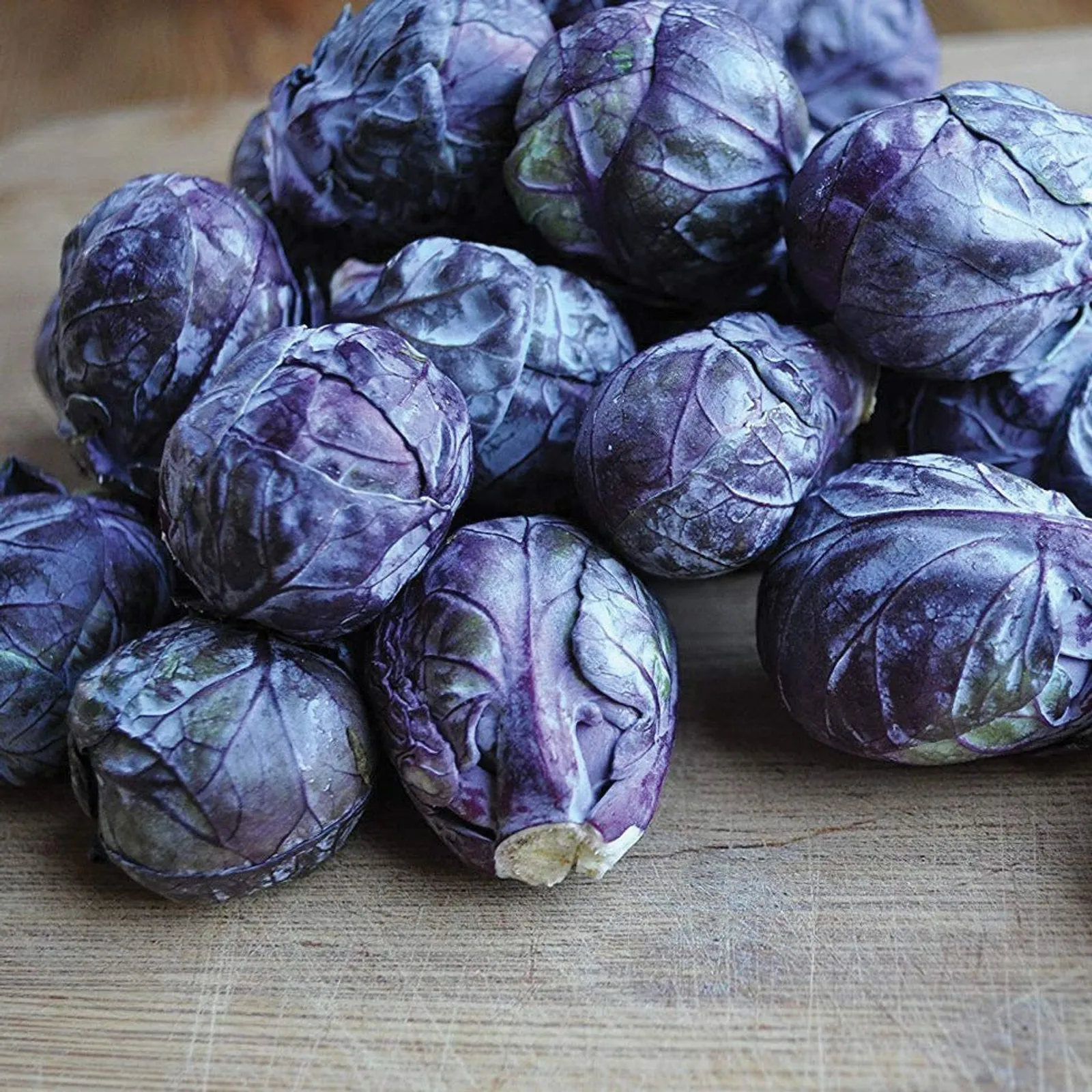 Red Bull Brussel Brussels Sprouts