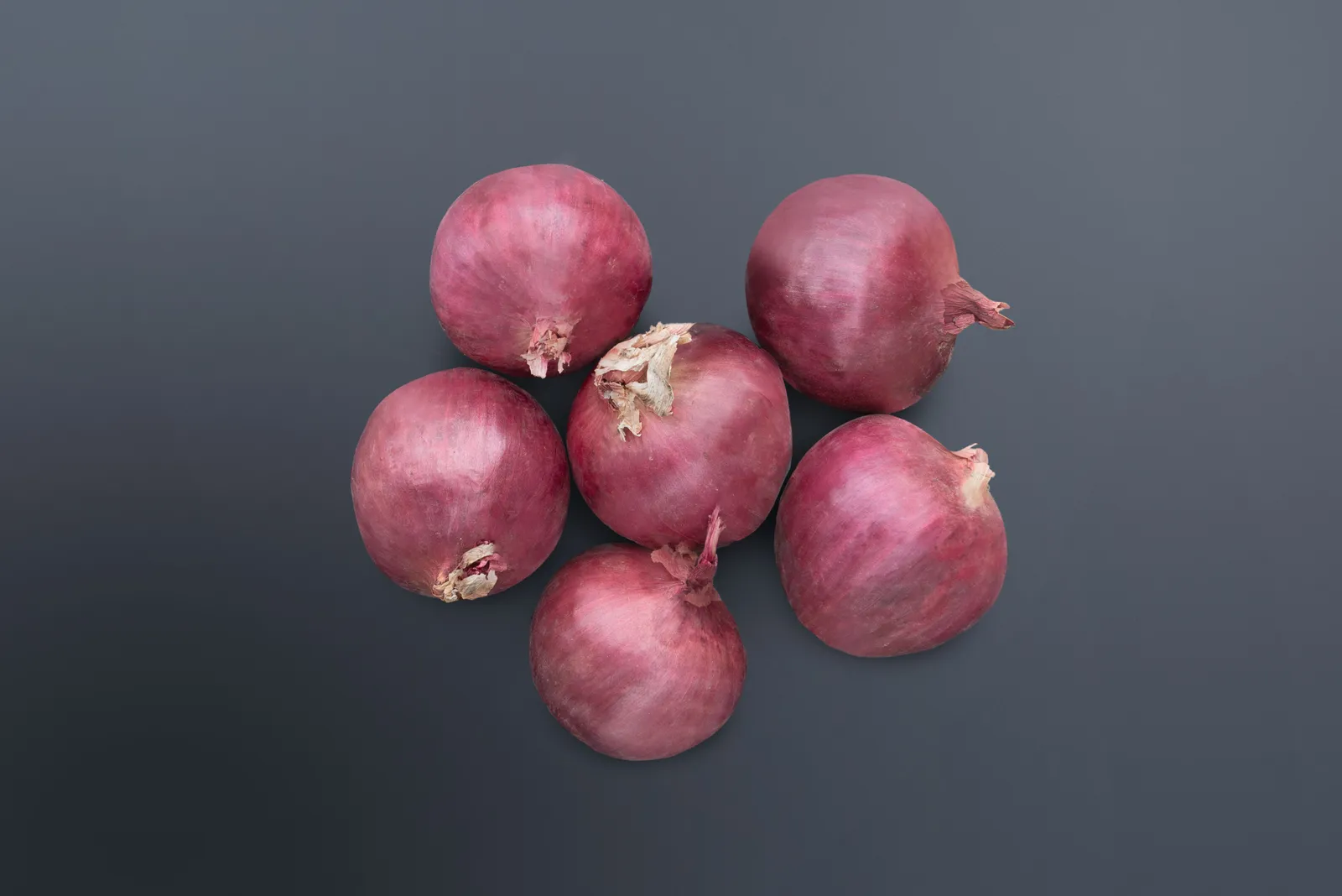 Red Mountain Onions