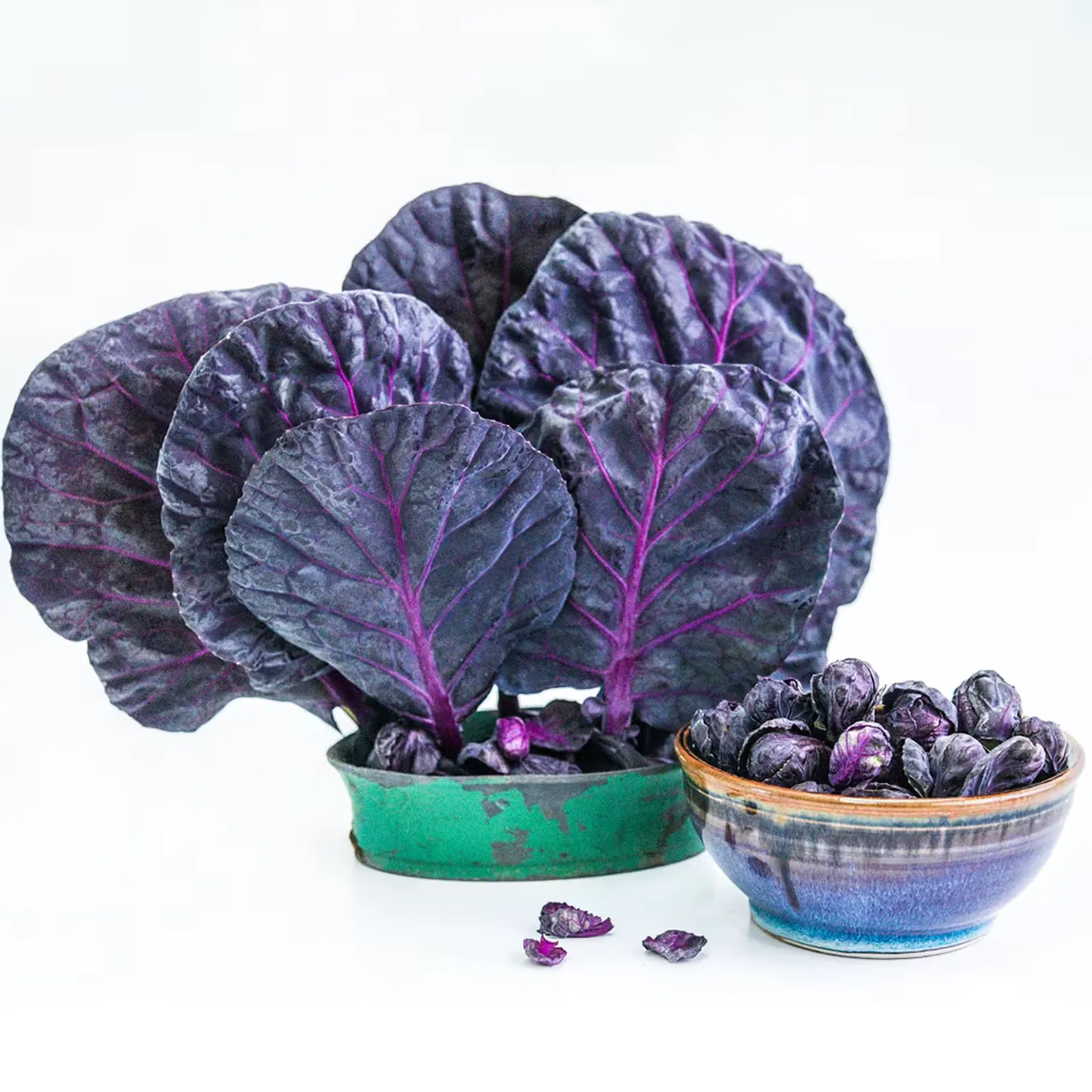 Red Rubine Brussels Sprouts