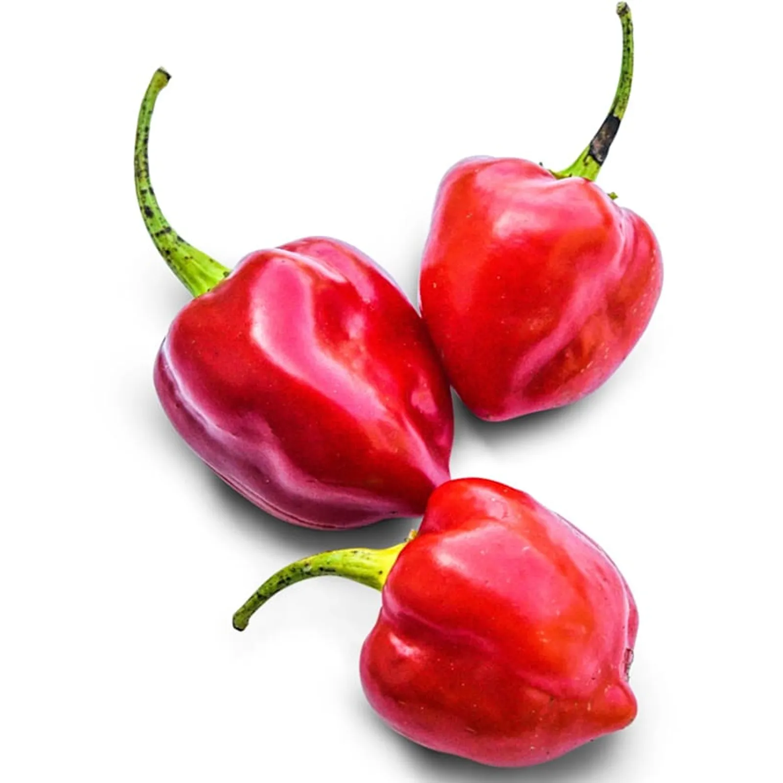 Red Savina Peppers