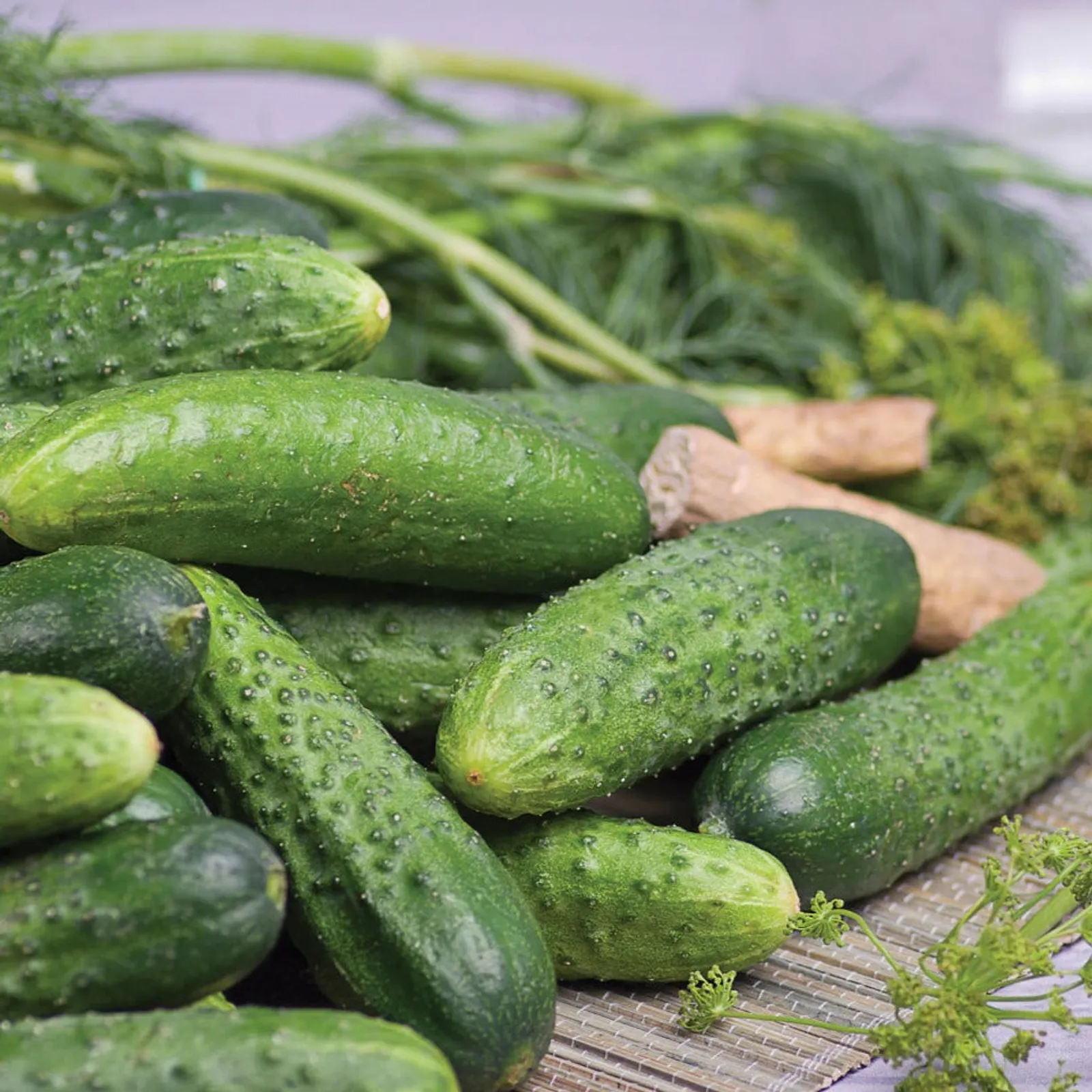 Rhinish Pickle Cucumbers