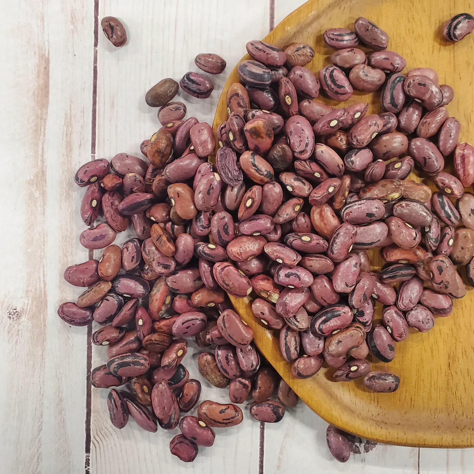 Rio Zape (Bush-Semi Vining) Beans