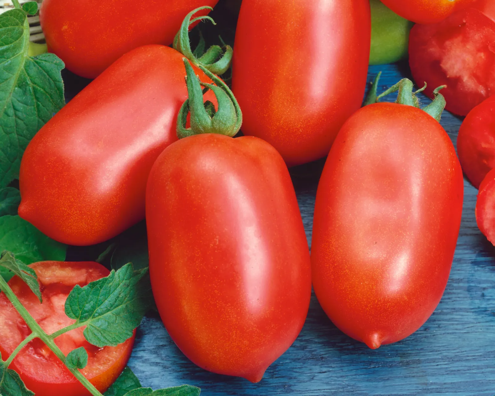 Roma Tomatoes