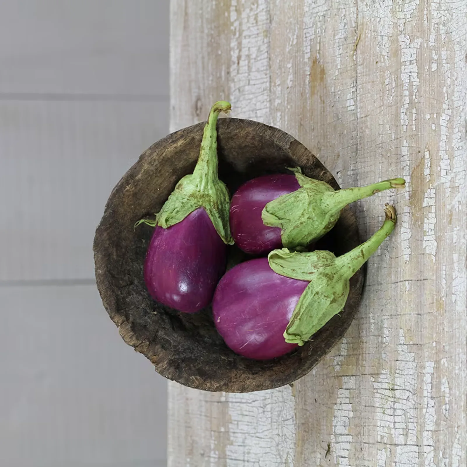 Rosita Eggplant