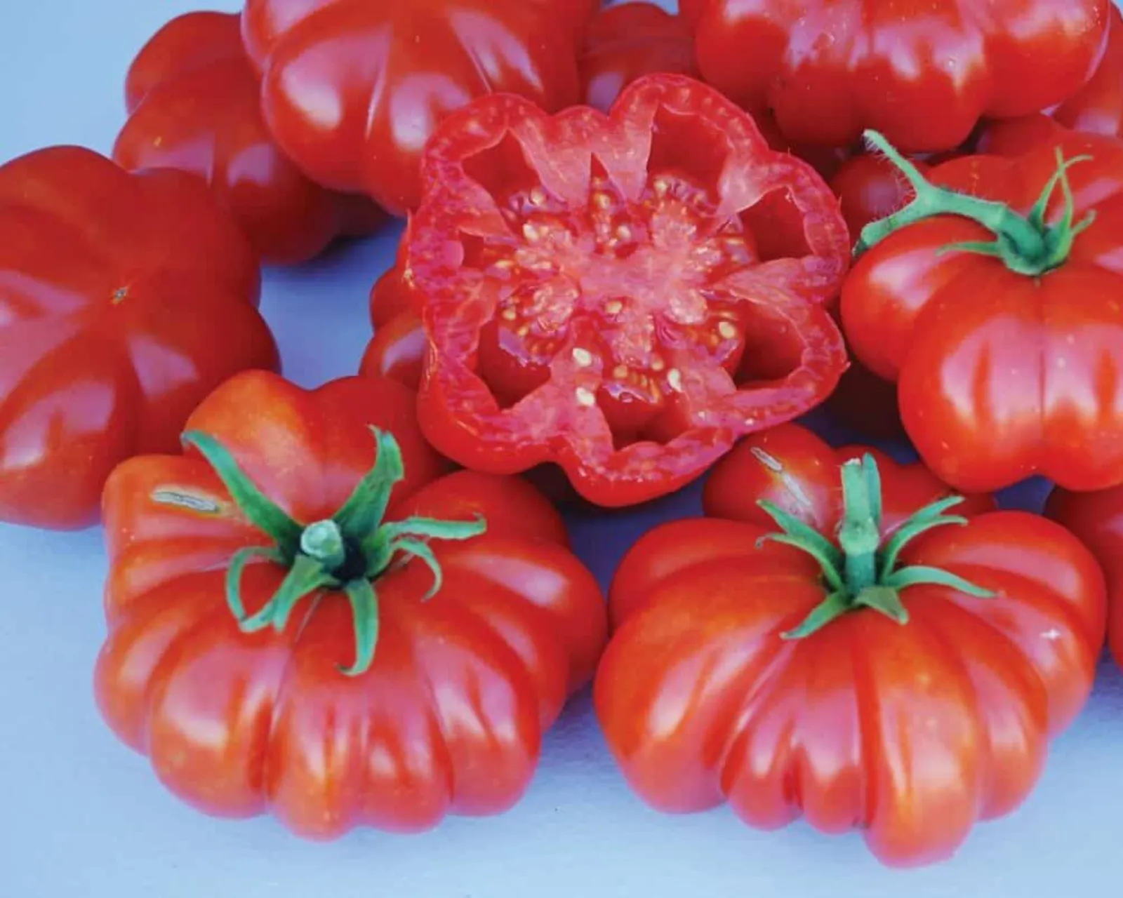 Rosso Sicilian Tomatoes
