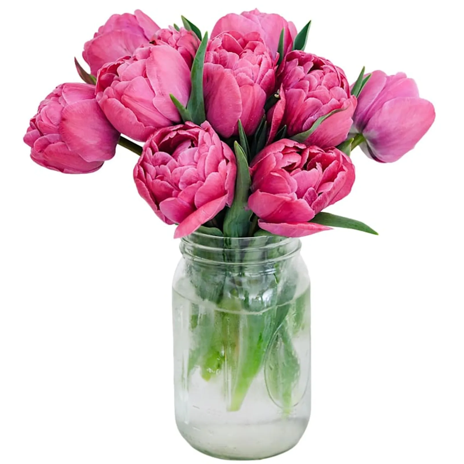 Rosy Diamond Tulips