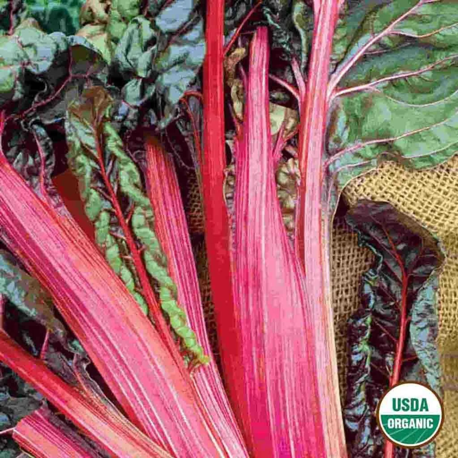 Ruby Chard
