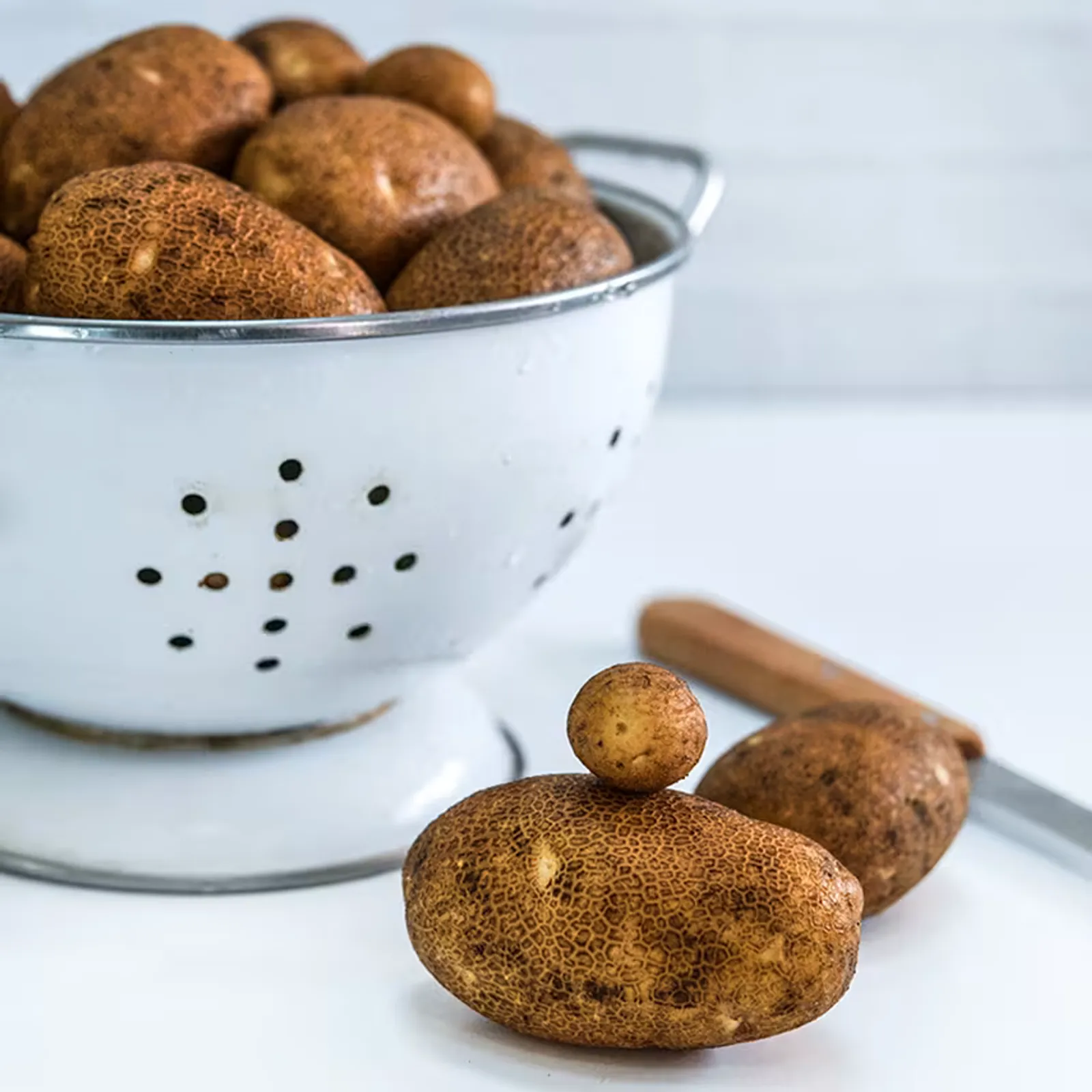 Russet Burbank Potatoes