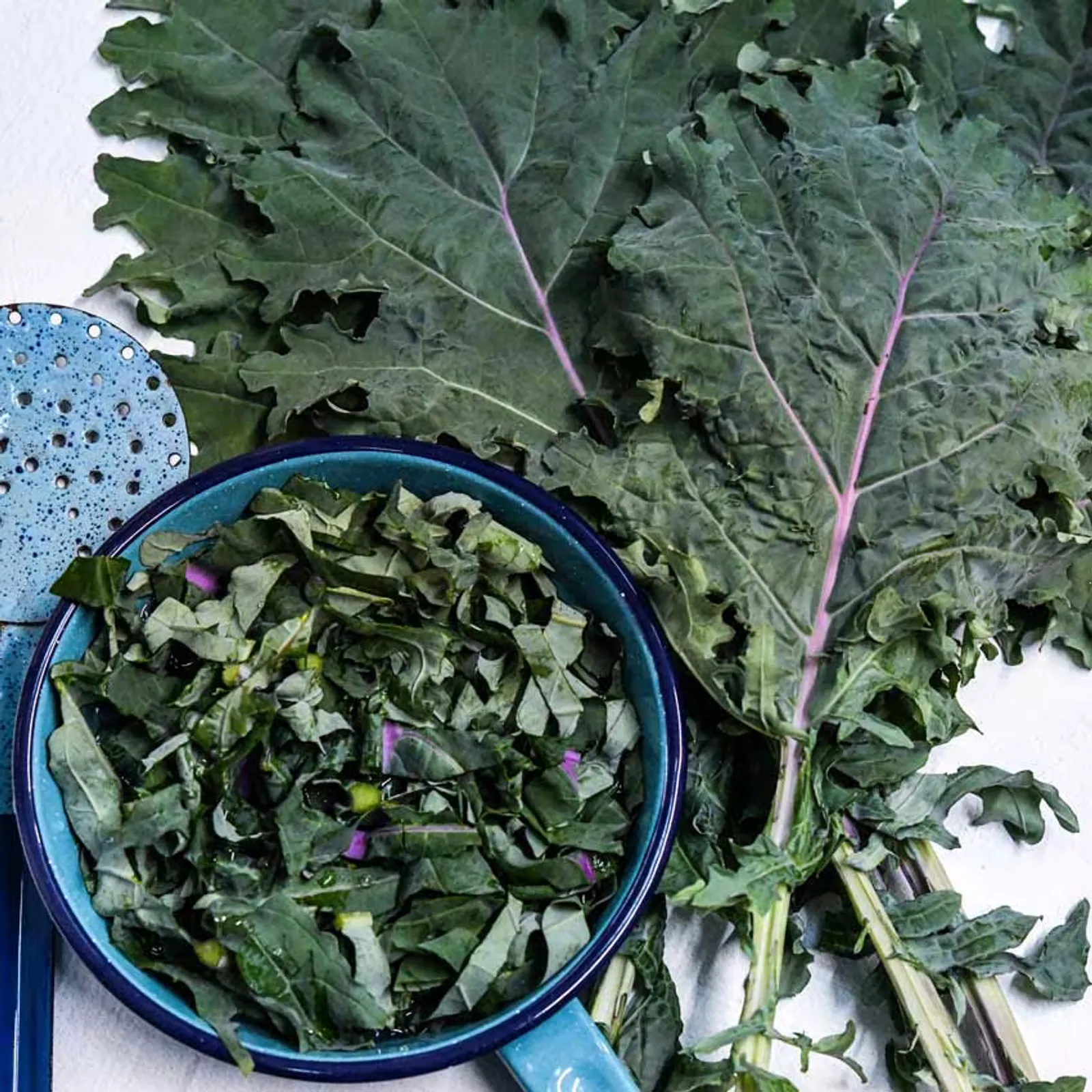 Russian Red or Ragged Jack Kale