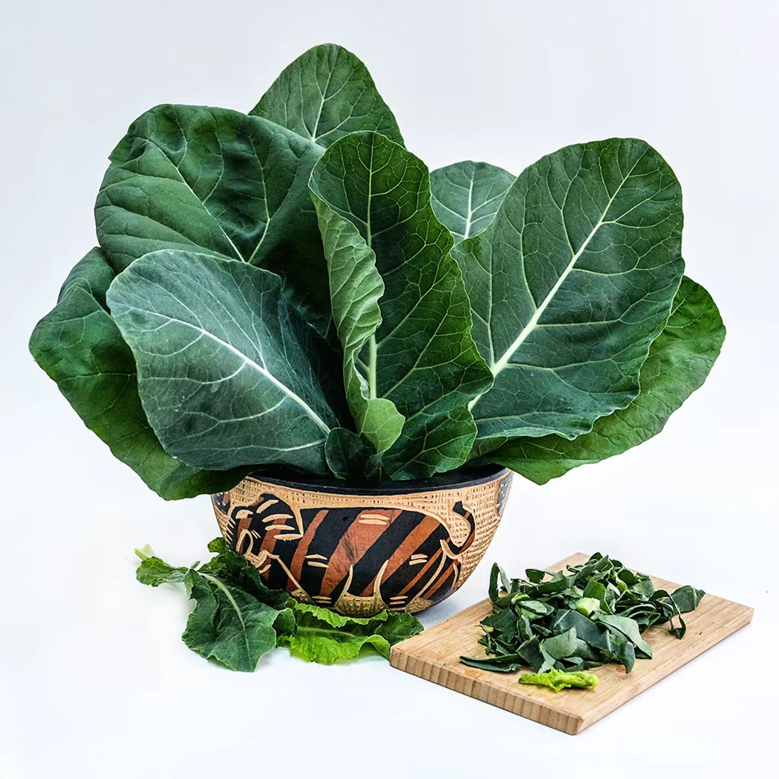 Sahara Kale