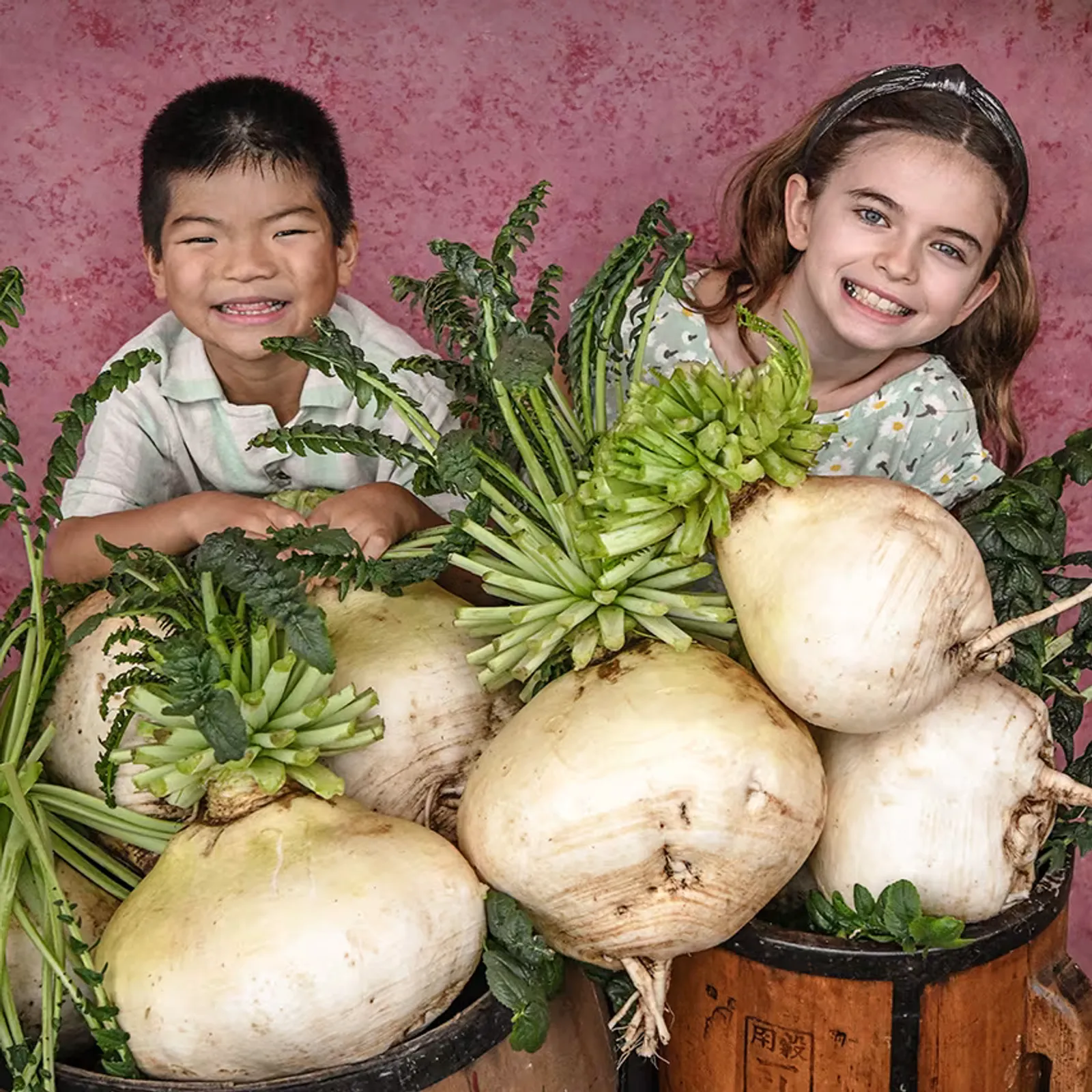 Sakurajima Giant Radishes