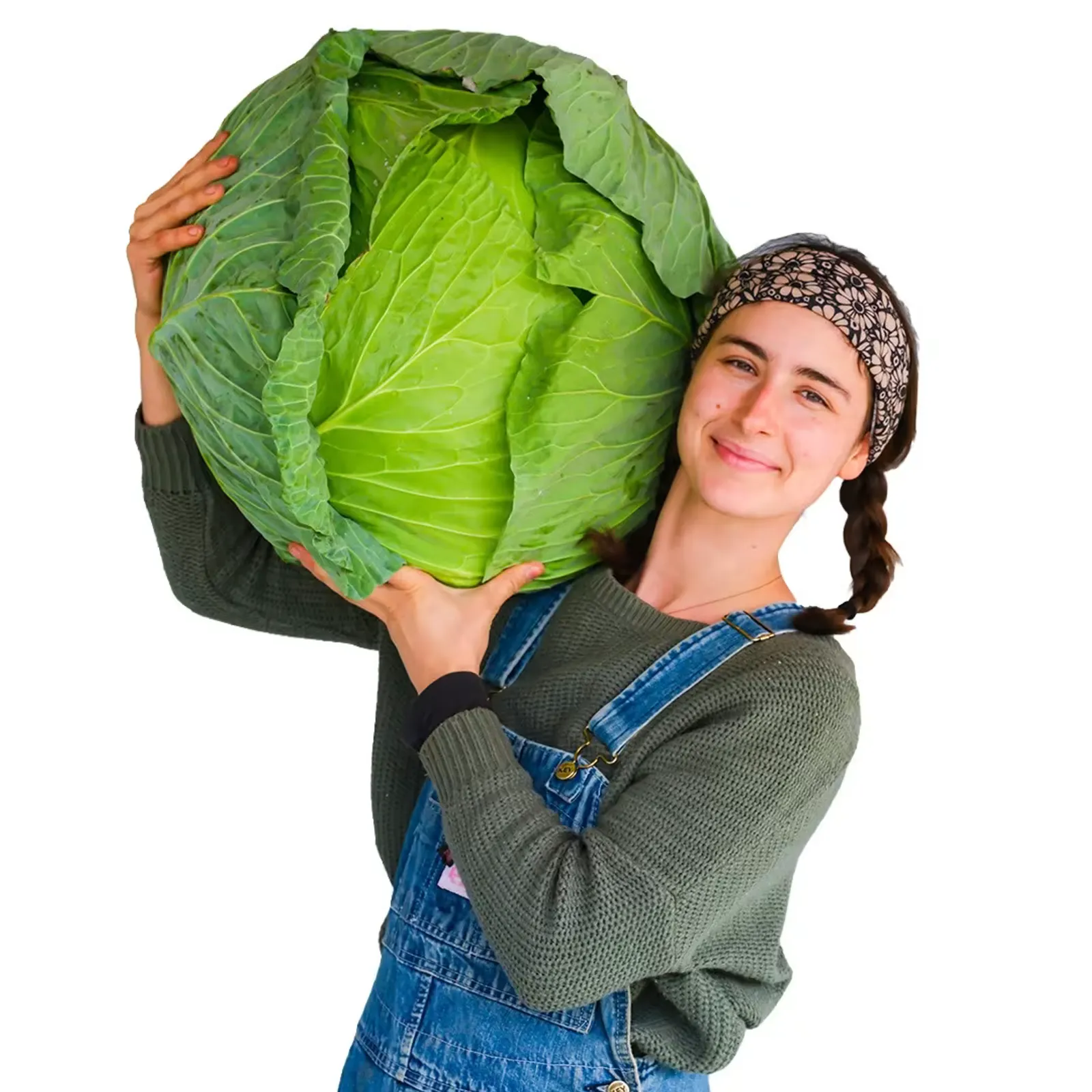 Sapporo Giant #4 Cabbage