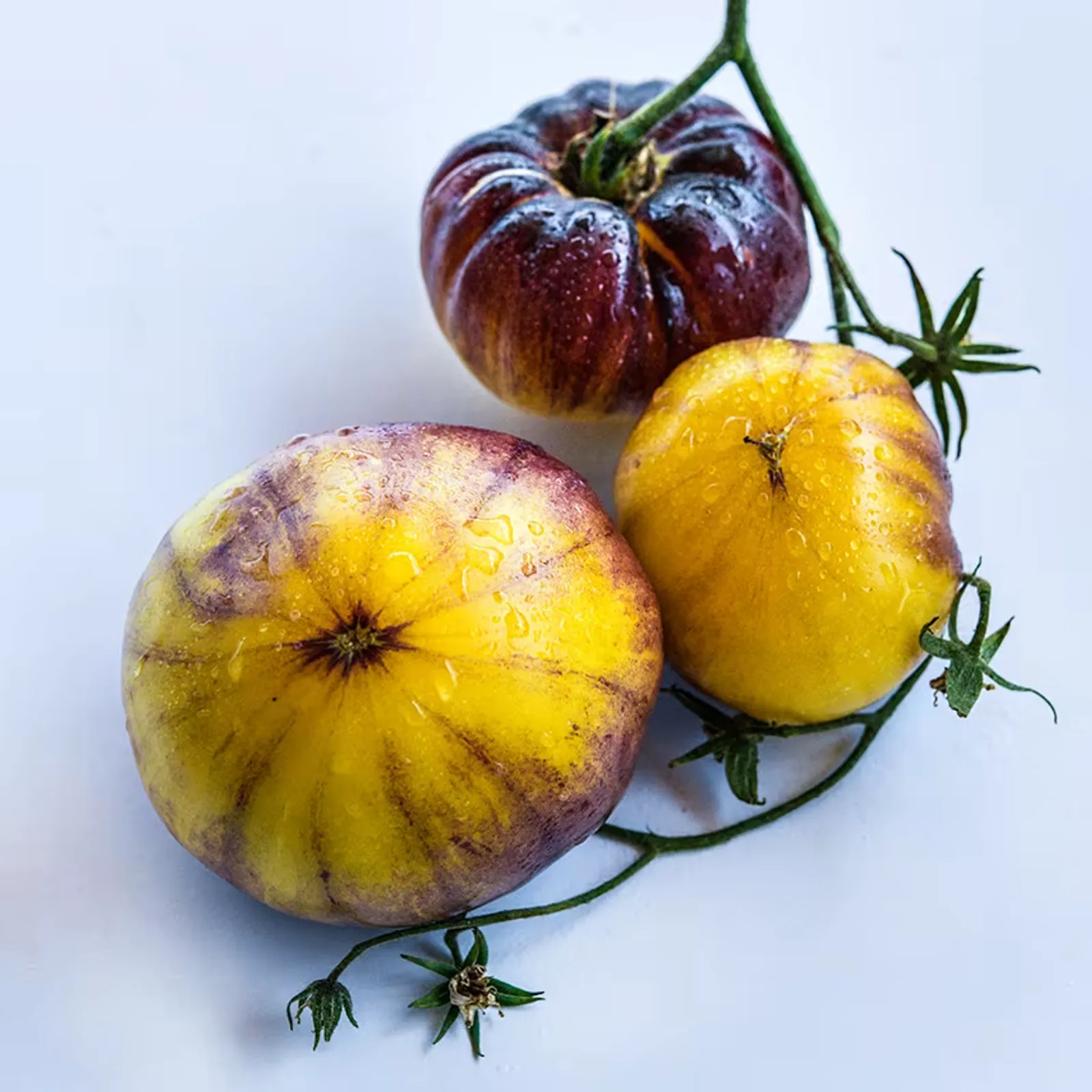 Sart Roloise Tomatoes