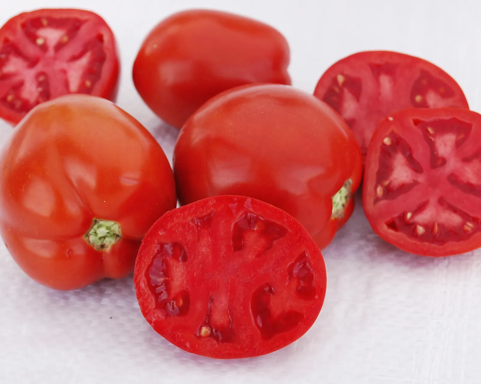 Saucy Lady Tomatoes