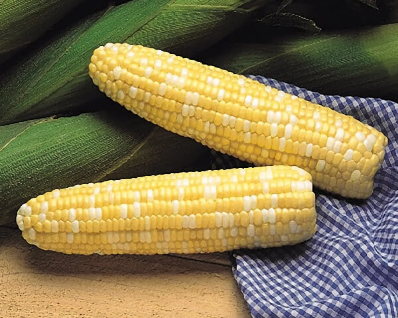 Serendipity (Bicolor Syn) Corn