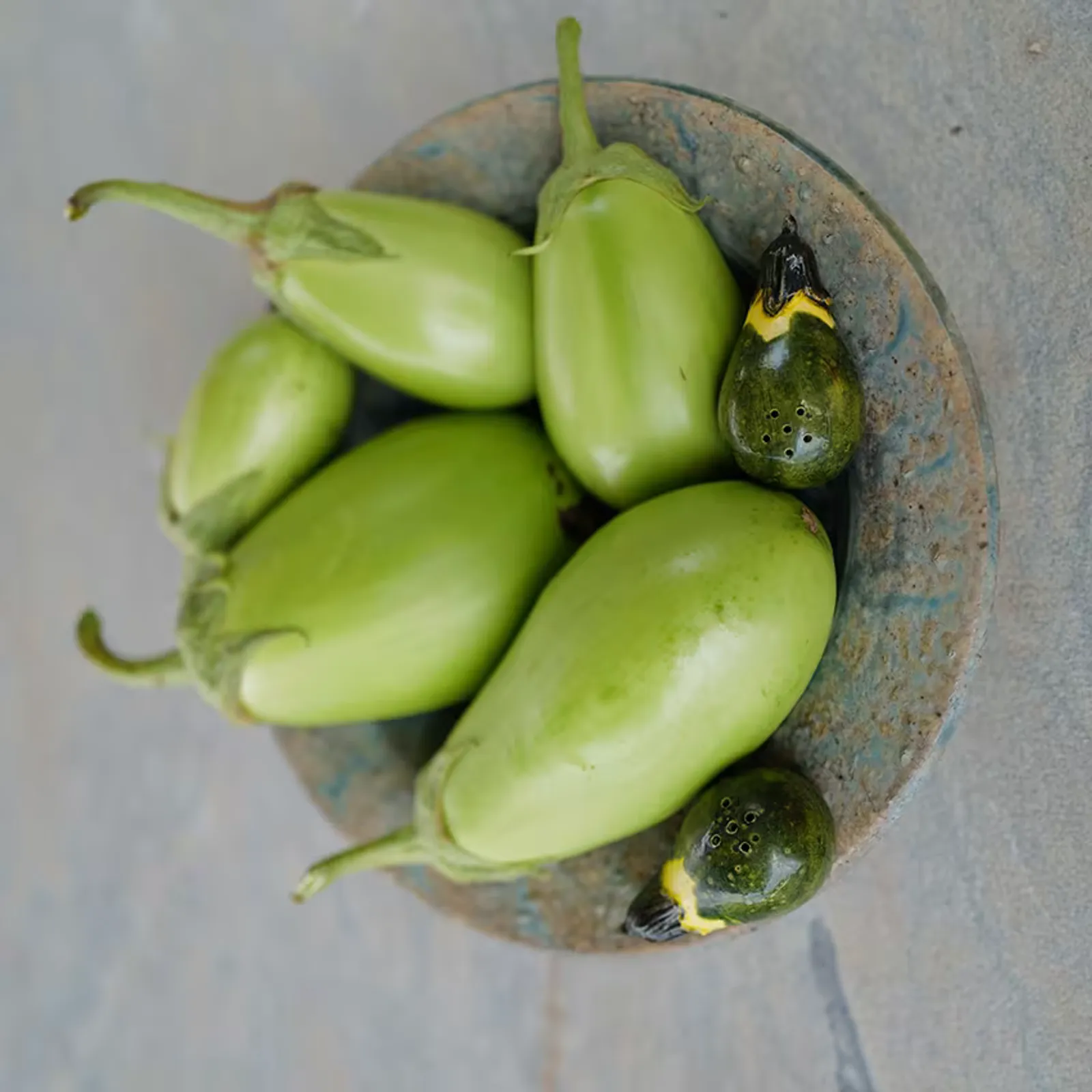 Shiromaru Eggplant