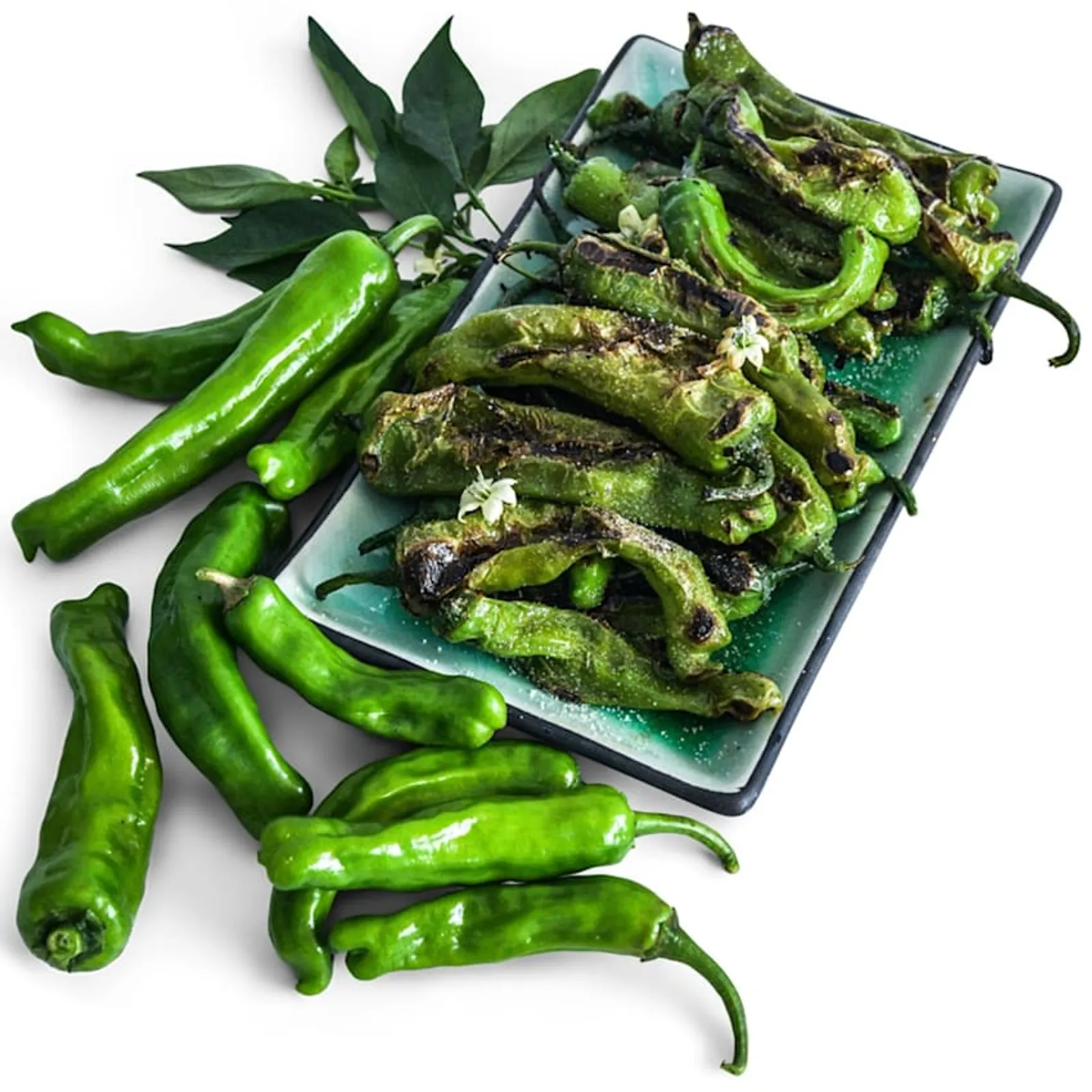 Shishito Peppers
