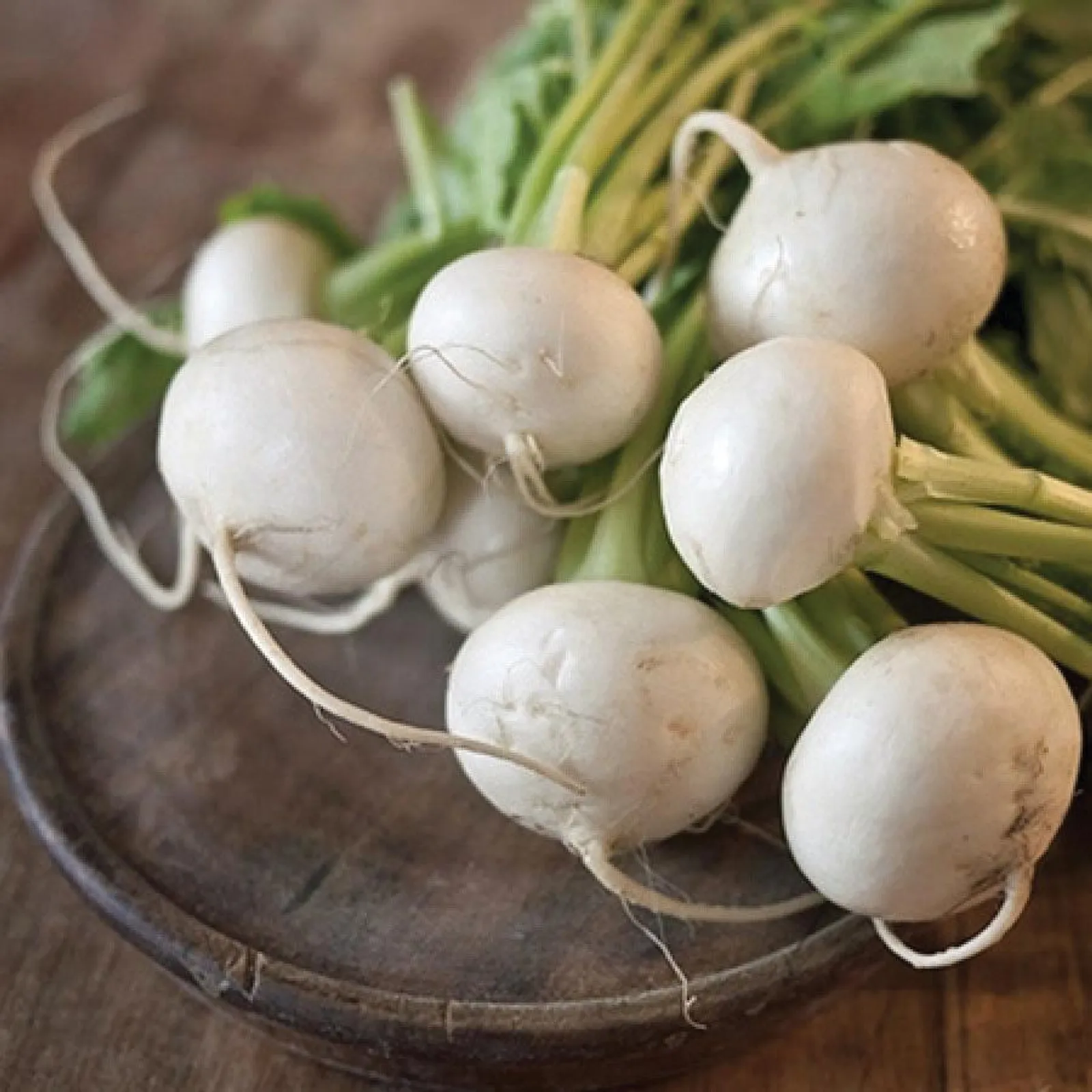 Shogoin Turnips