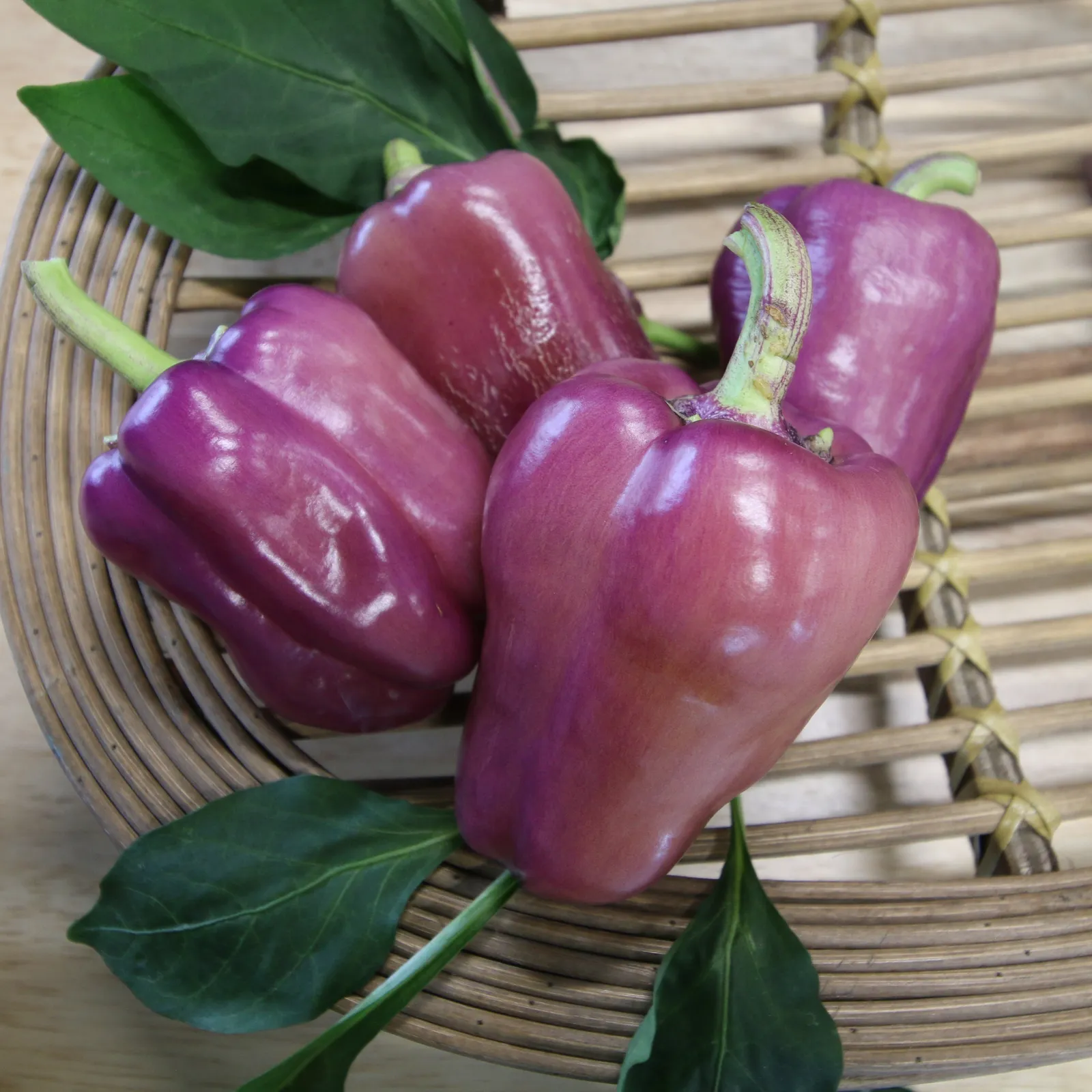 Sienna Glow Bell Peppers