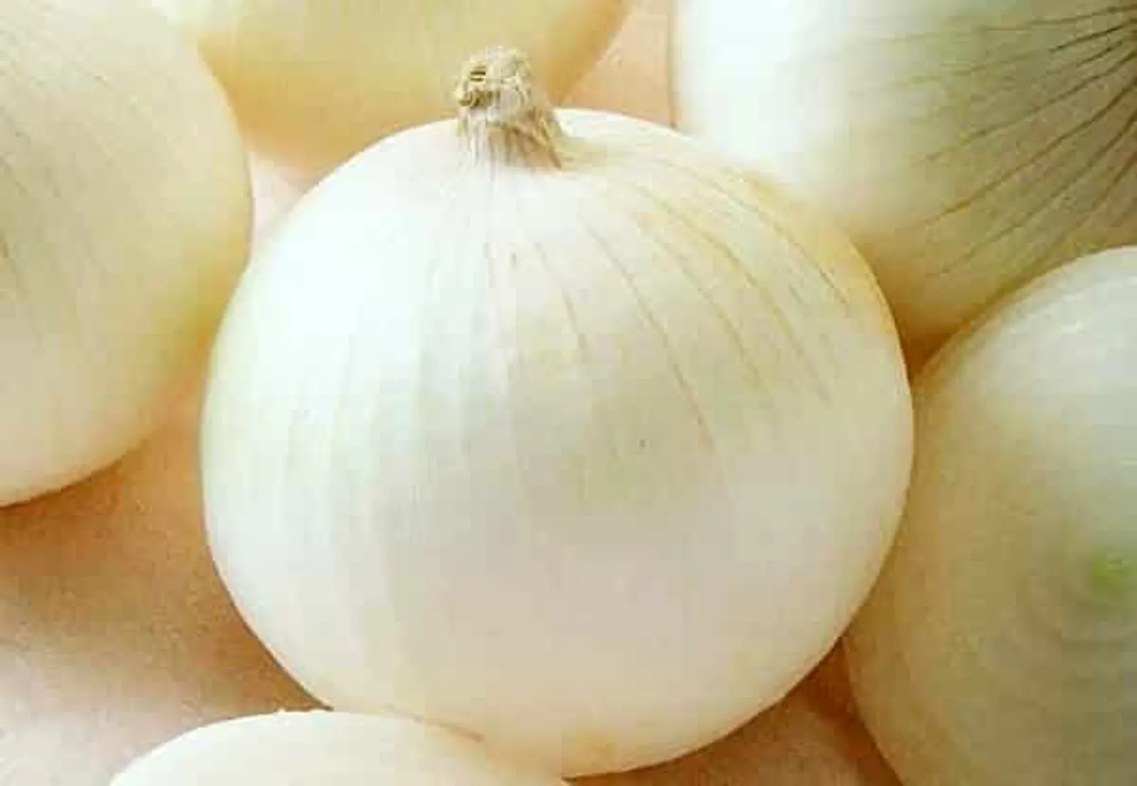 Sierra Blanca Onions