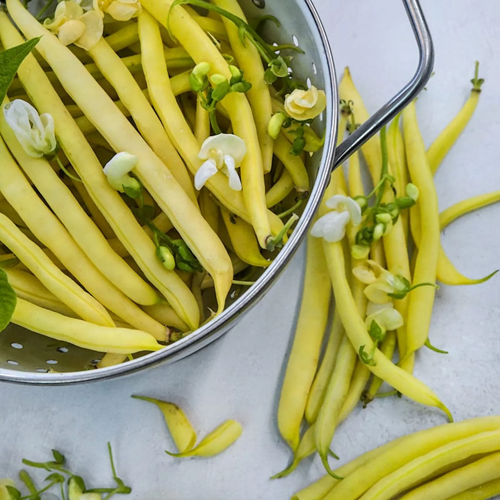 Sonesta Wax Beans