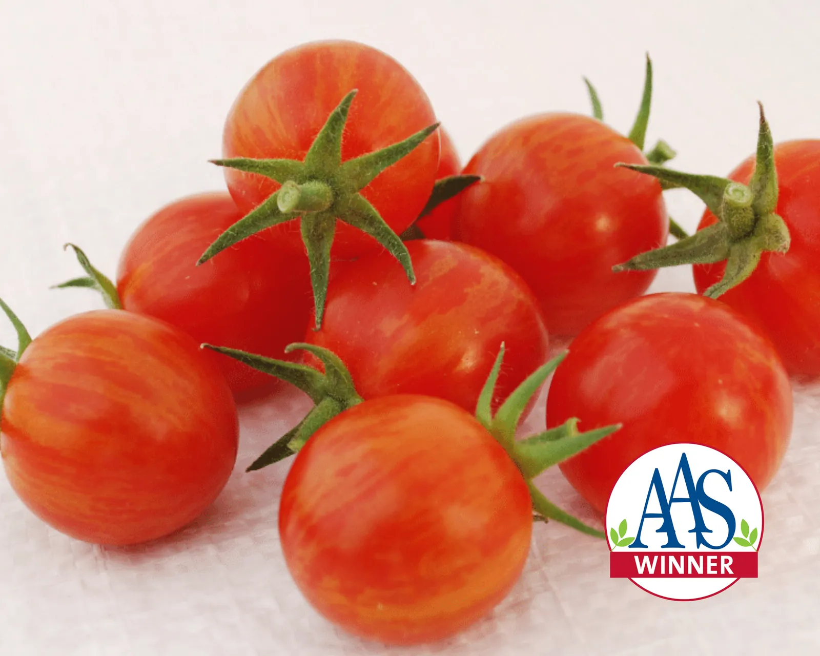Sparky XSL Tomatoes