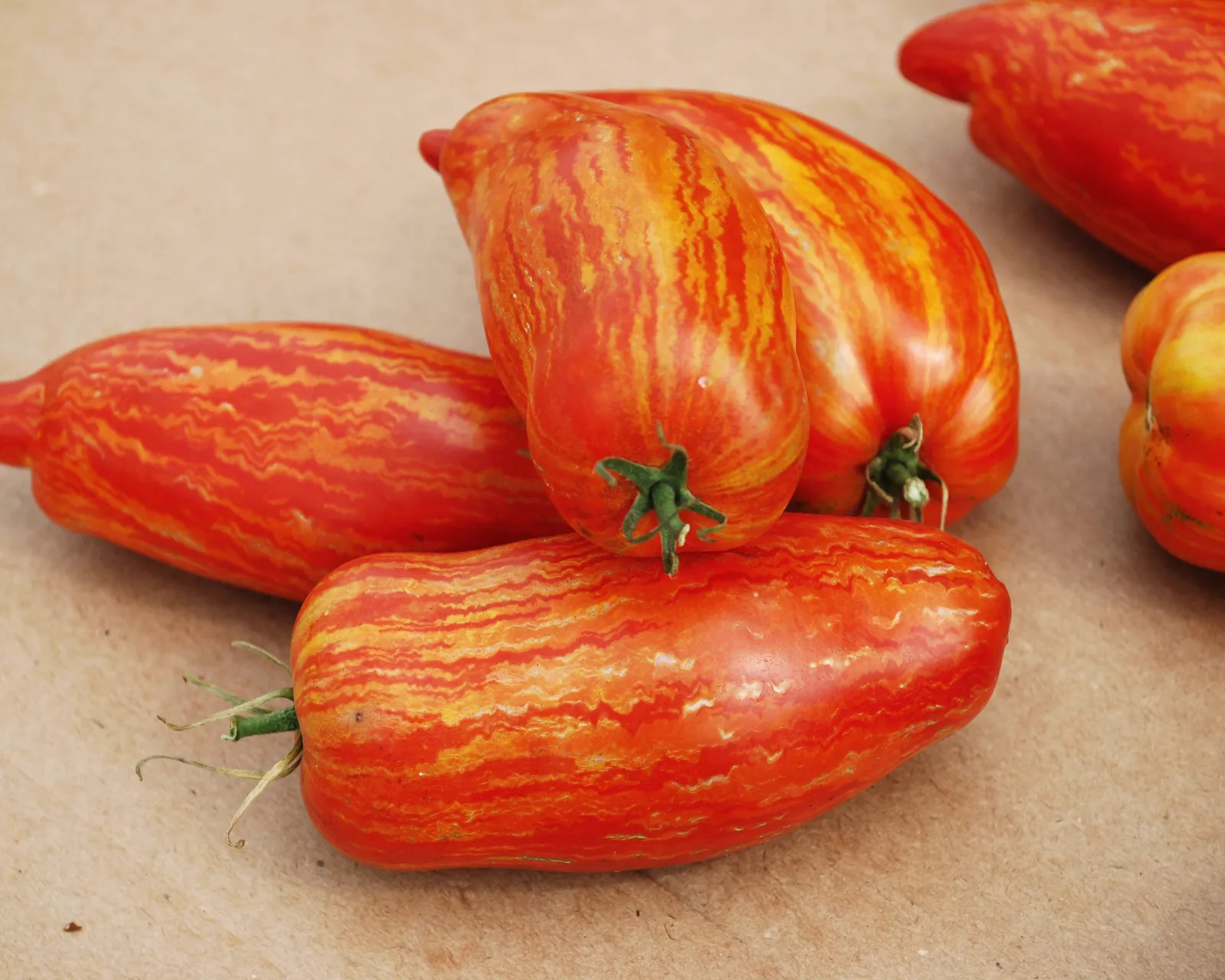 Speckled Roman Tomatoes