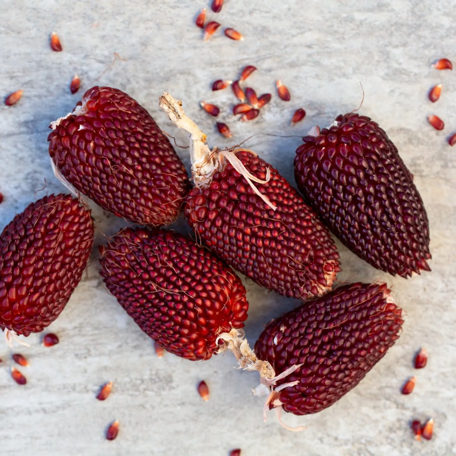 Strawberry Corn