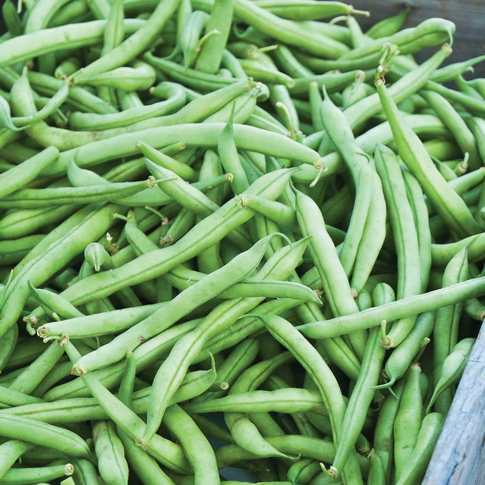 Strike Beans