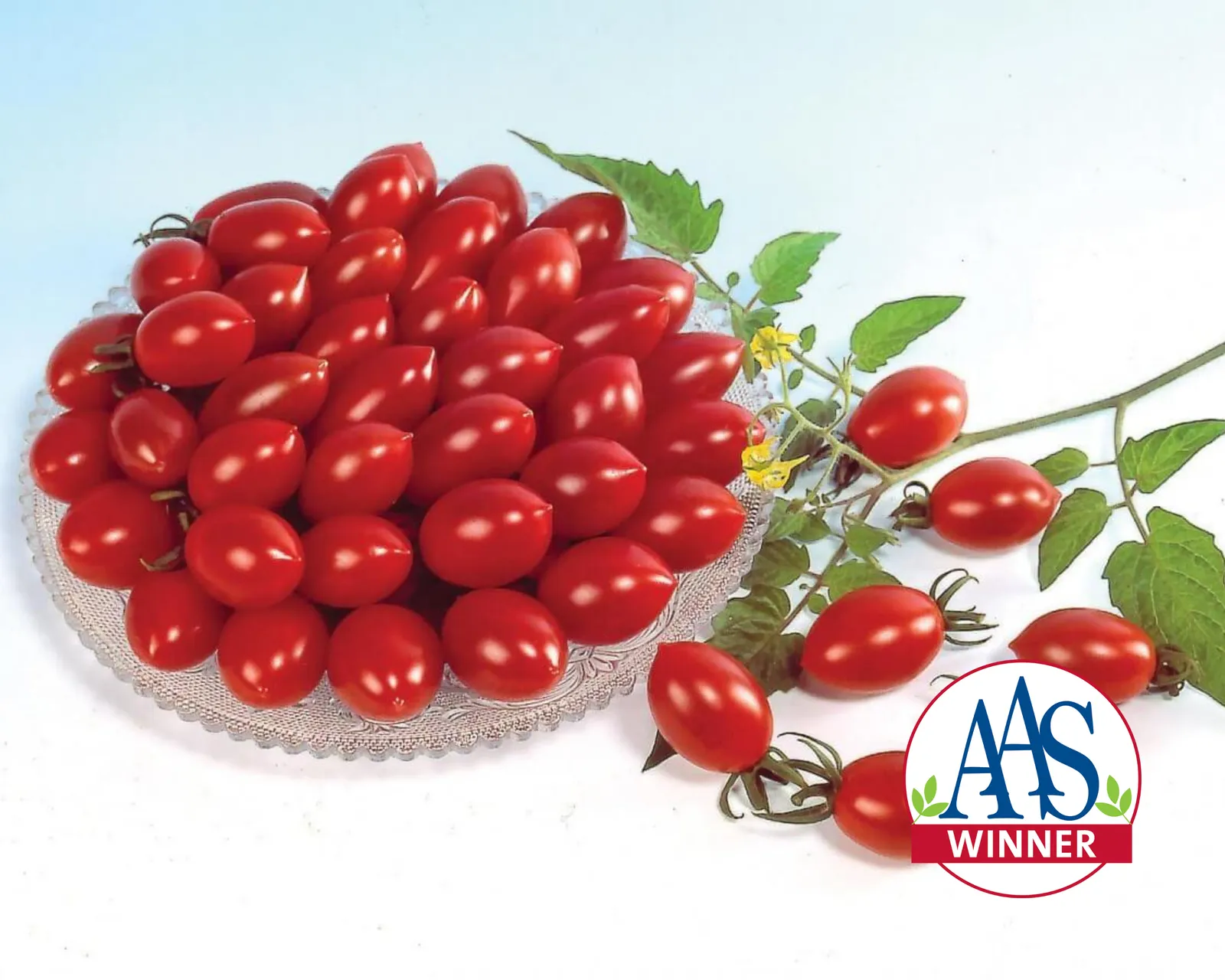 Sugary Tomatoes