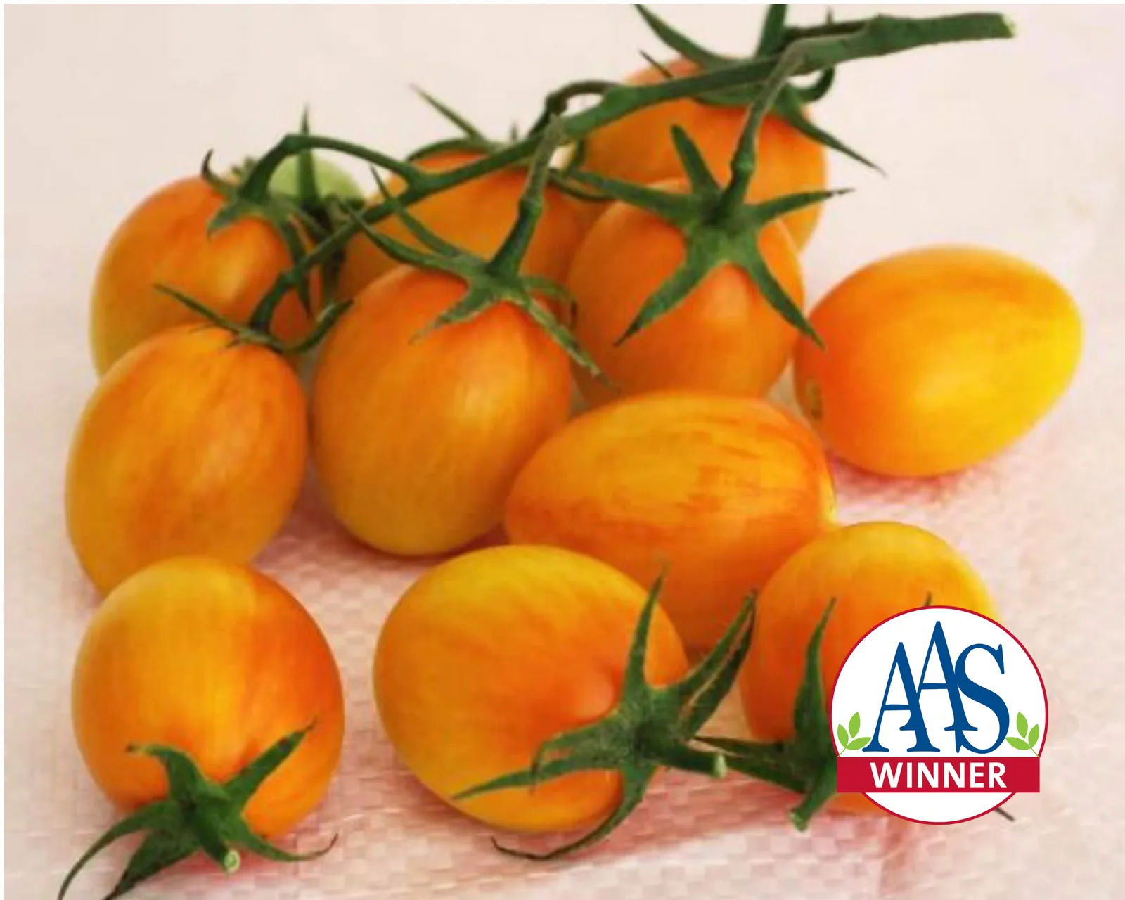 Sunset Torch Tomatoes