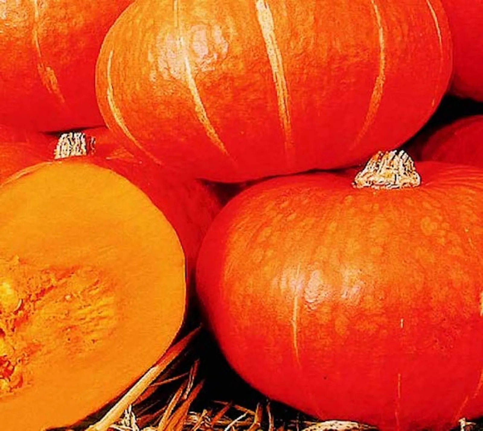Sunshine Hybrid Kabocha Squash