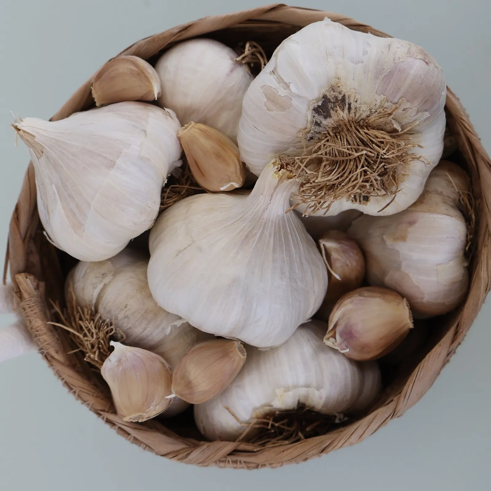 Susanville Garlic