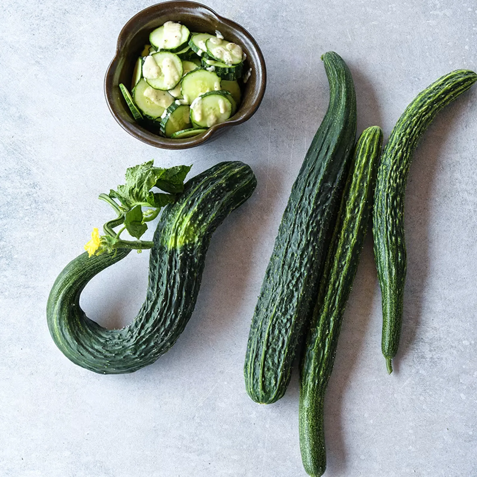Suyo Long Cucumbers