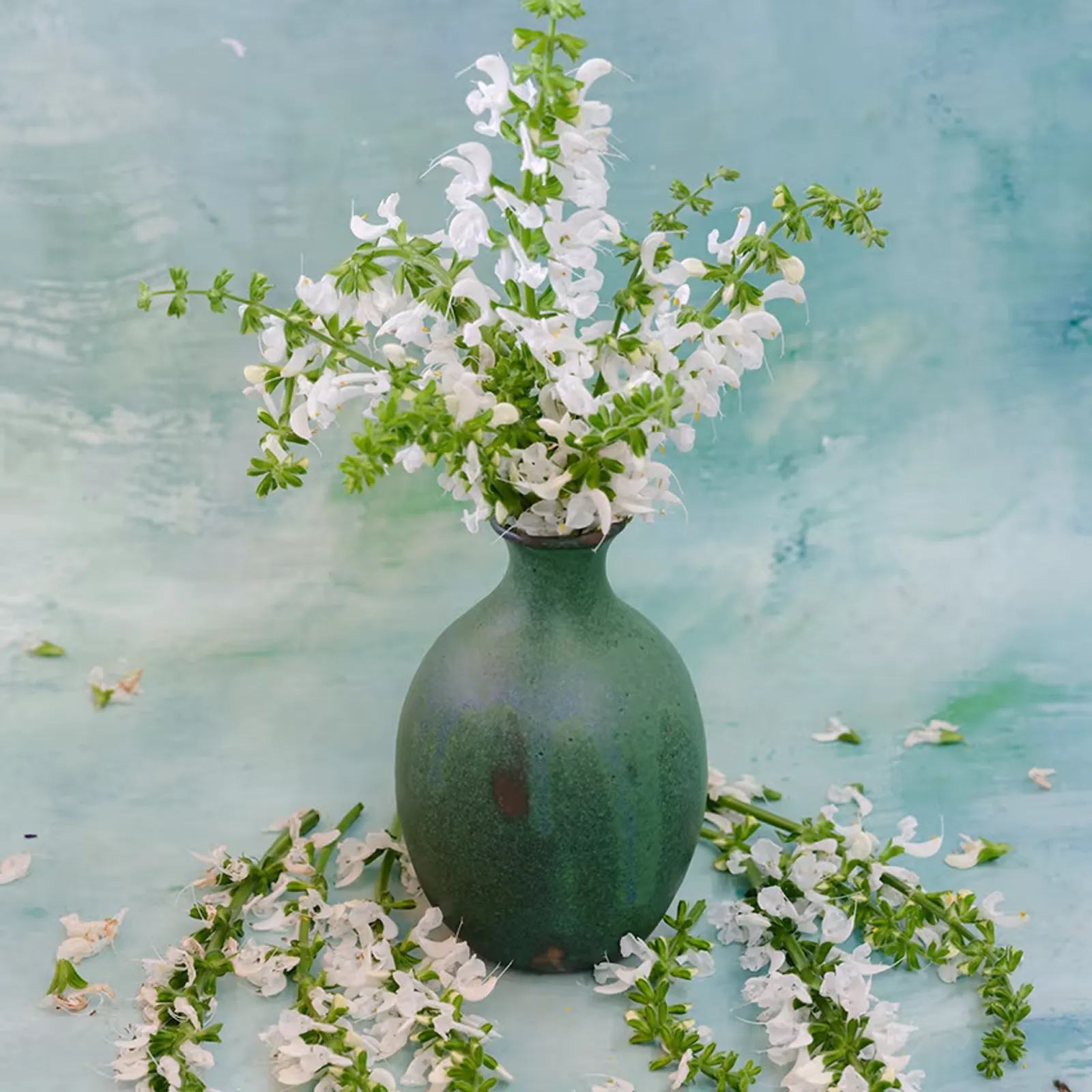 Swan Lake Sage