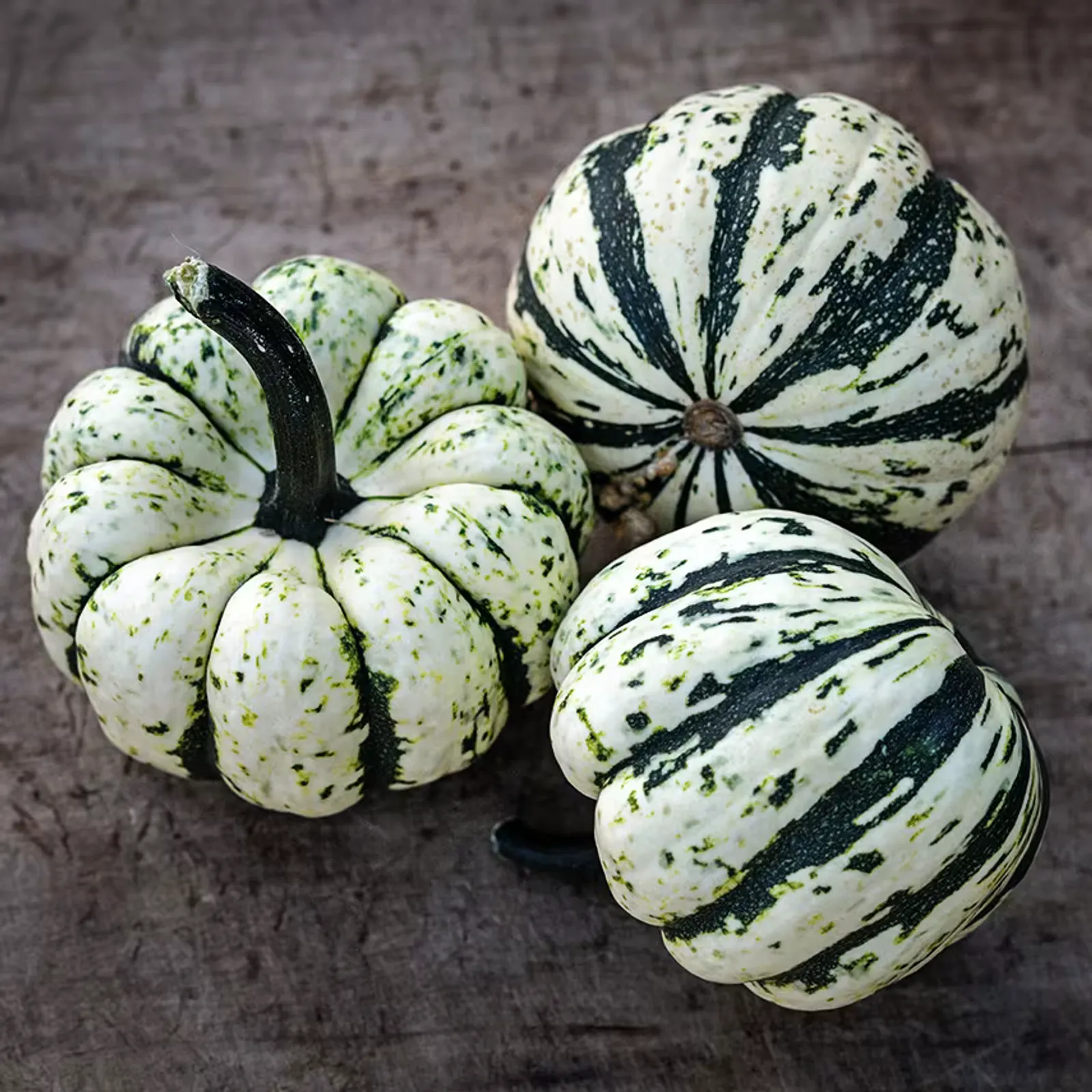 Dumpling Squash