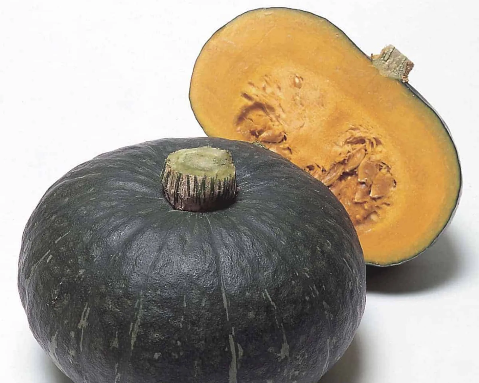 Sweet Mama Squash