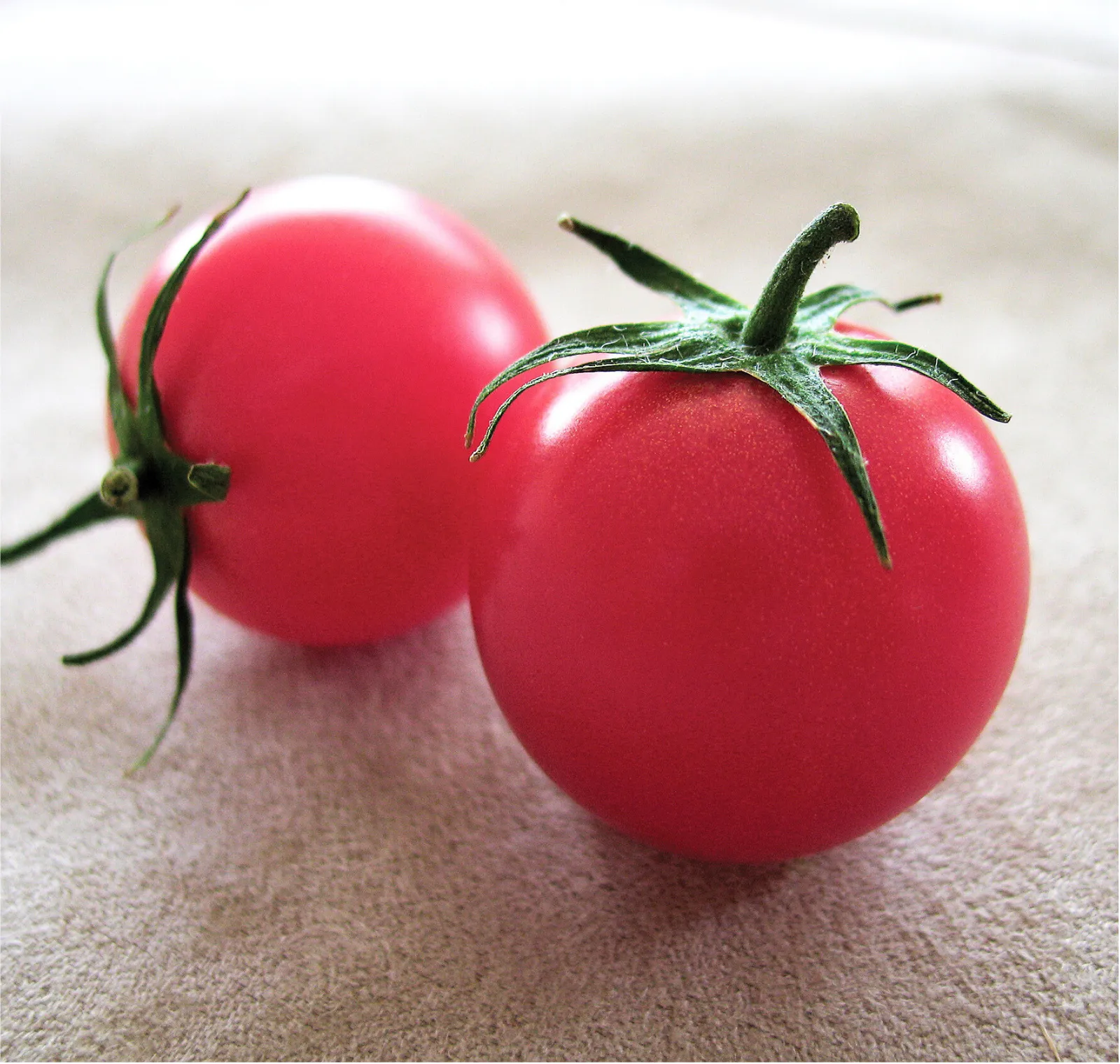 Sweet Aroma Tomatoes