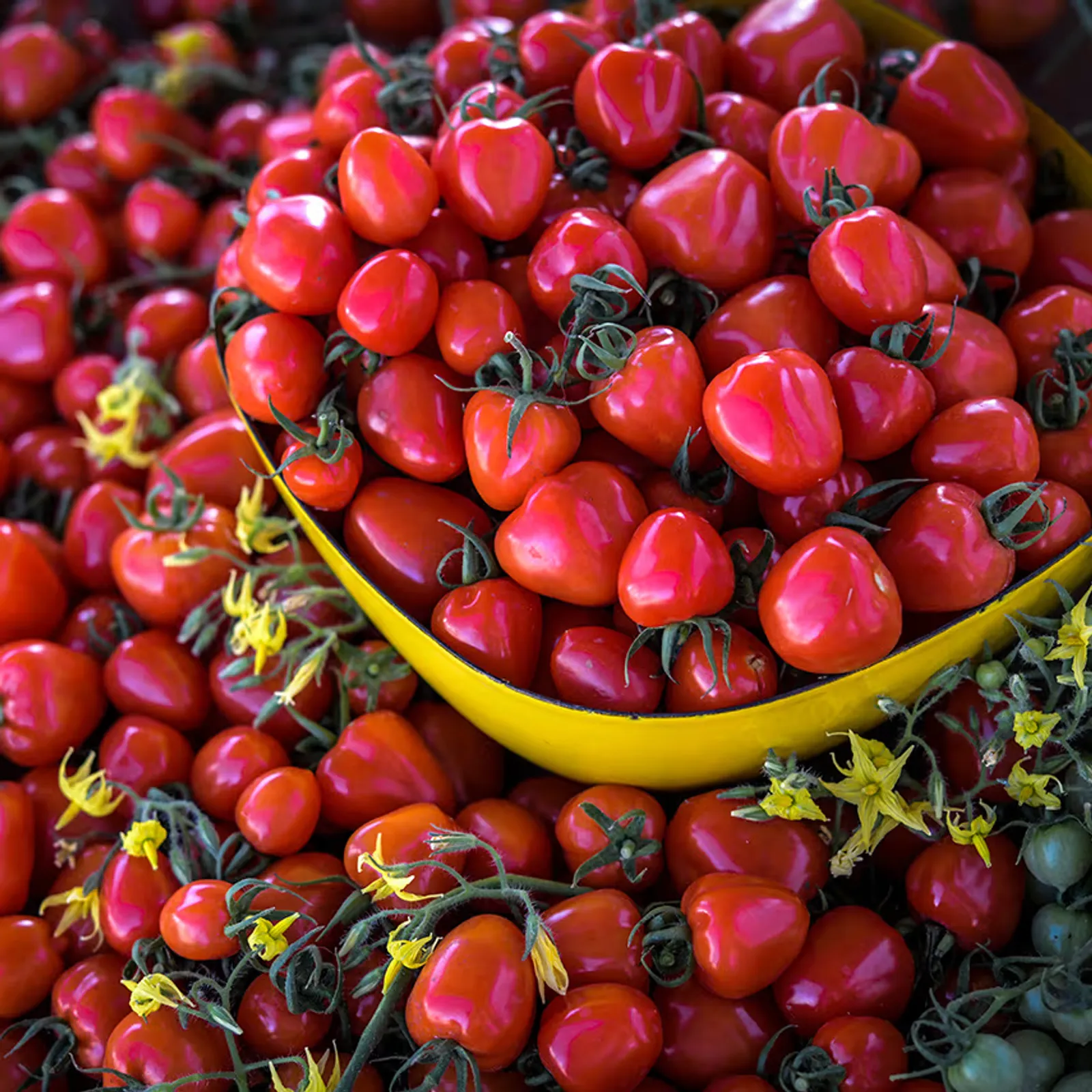 Sweetheart Cherry Tomatoes