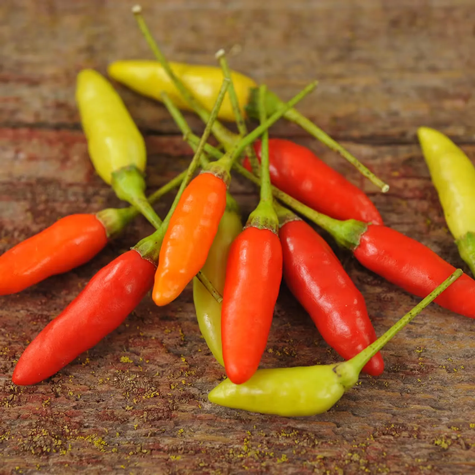 Tabasco Peppers