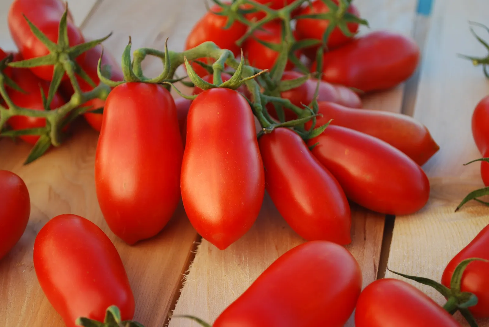 Ten Fingers of Naples Tomatoes