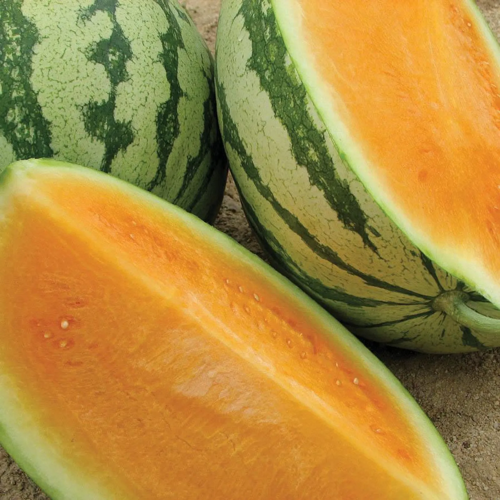 Orange Tendersweet Watermelon