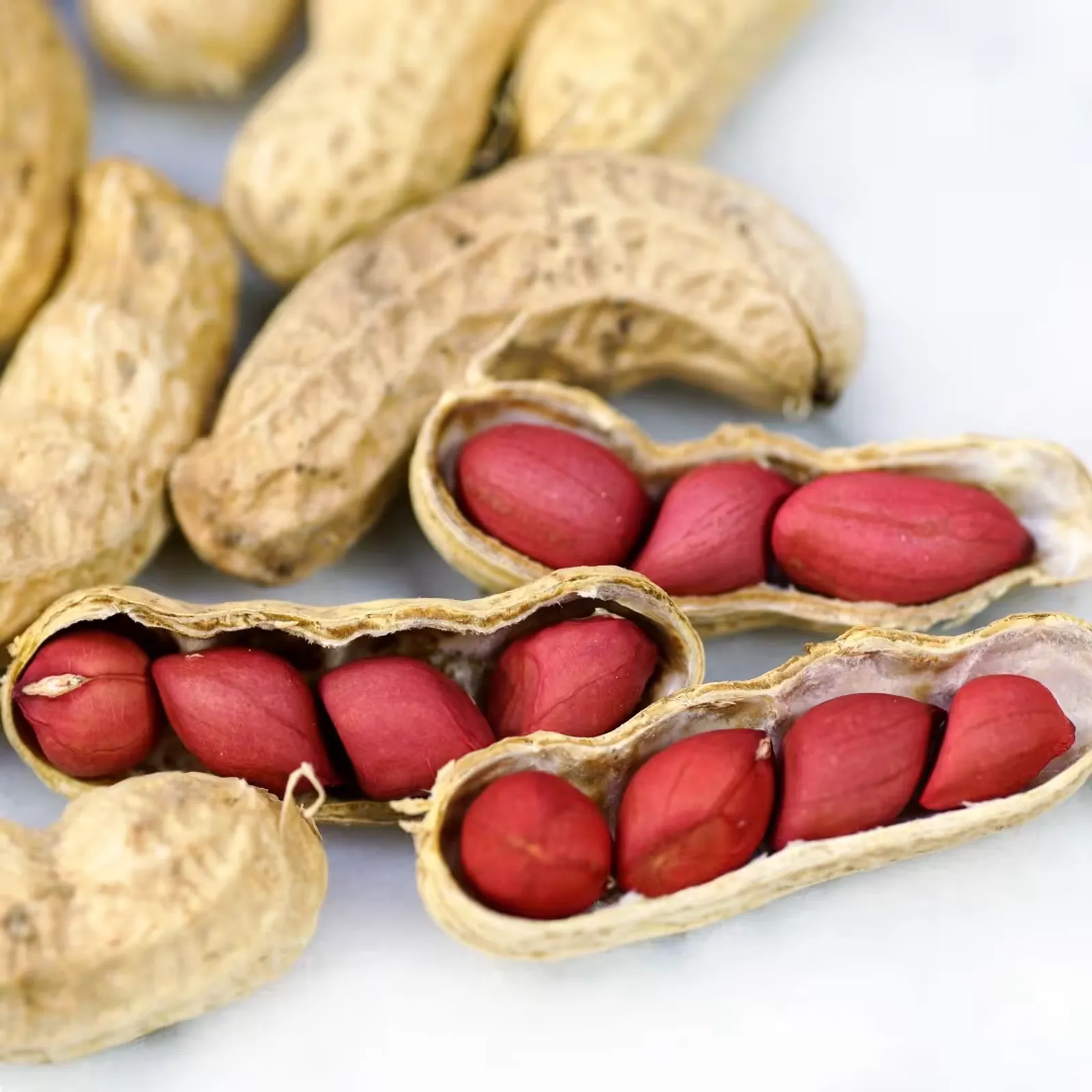 Tennessee Red Peanuts